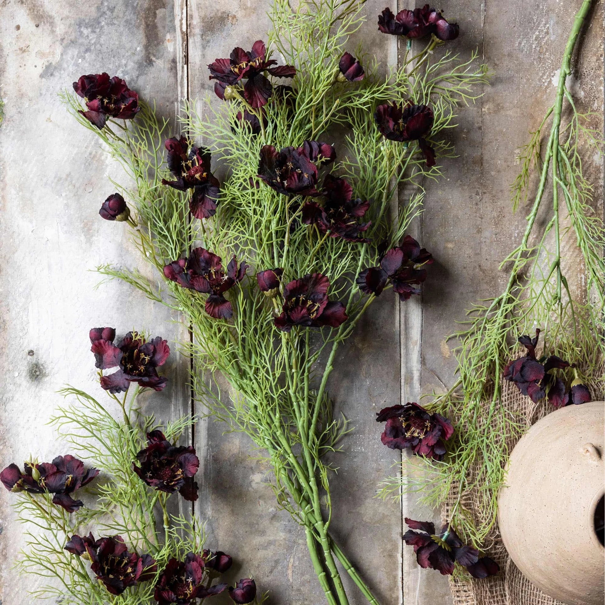 Abigail Ahern's Cosmos /Burgandy artificial flowers, featuring dark purple blooms and green feathery foliage, are displayed on a rustic wooden surface beside a beige ceramic vase and burlap fabric.