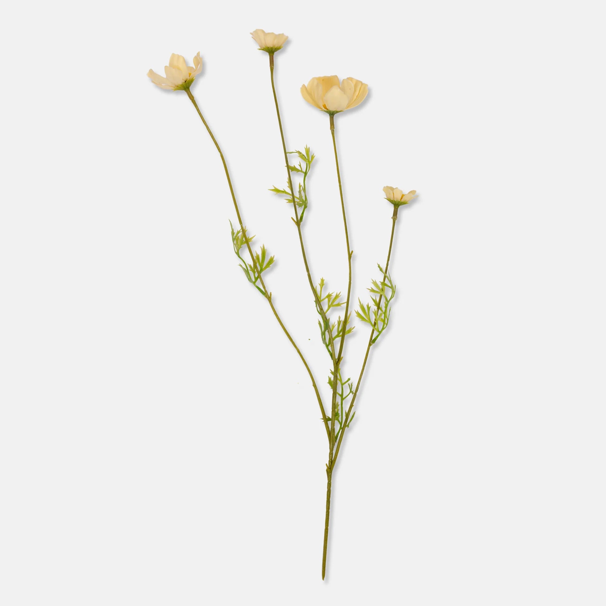 The Abigail Ahern Cosmos Meadow, Buttermilk features a single artificial stem with three delicate butter-toned flowers and slender green leaves, set against a white background.