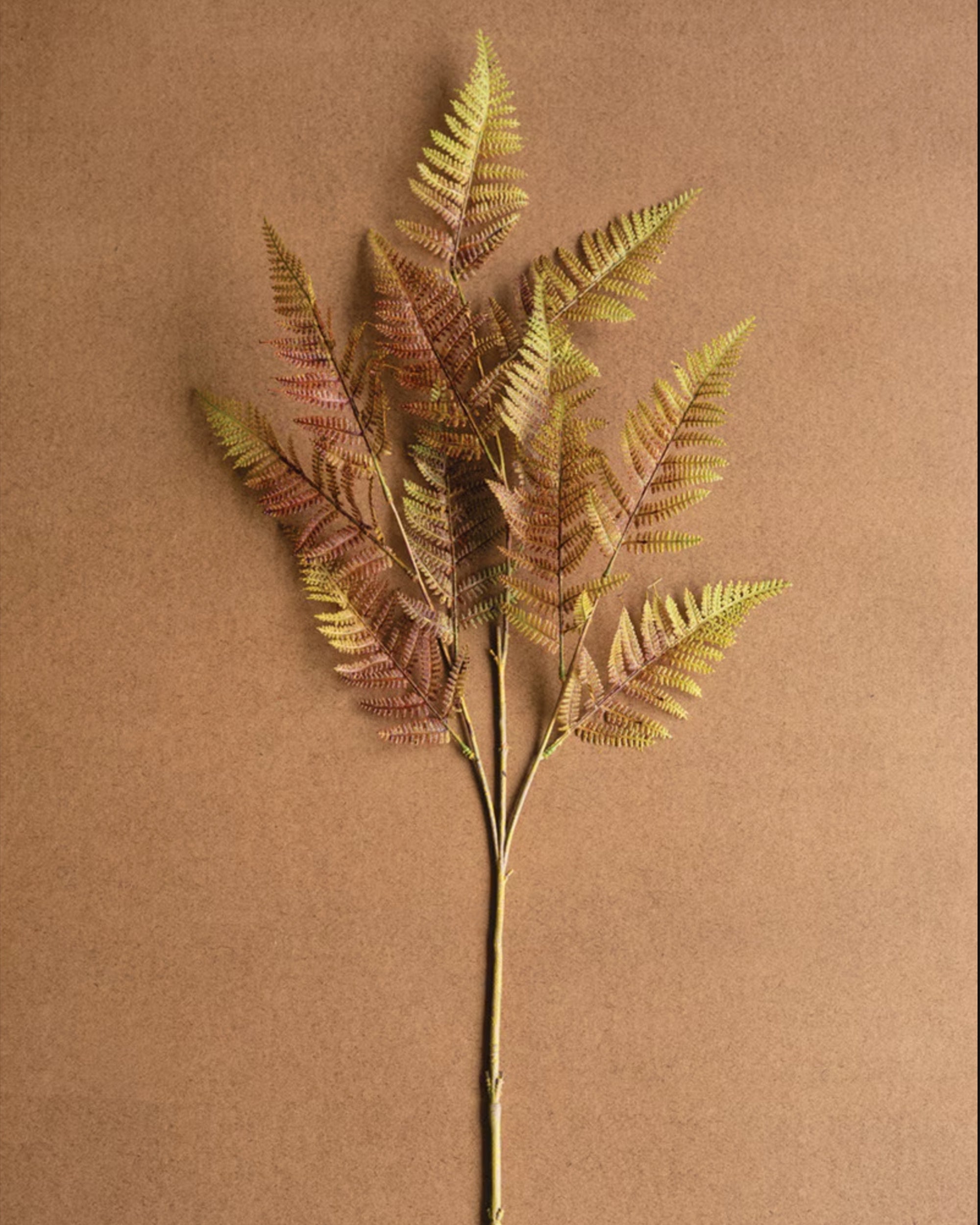 Golden autumn fern with brown base by Kalalou, perfect fall accent for Bungalow Furniture &amp; Accessories.