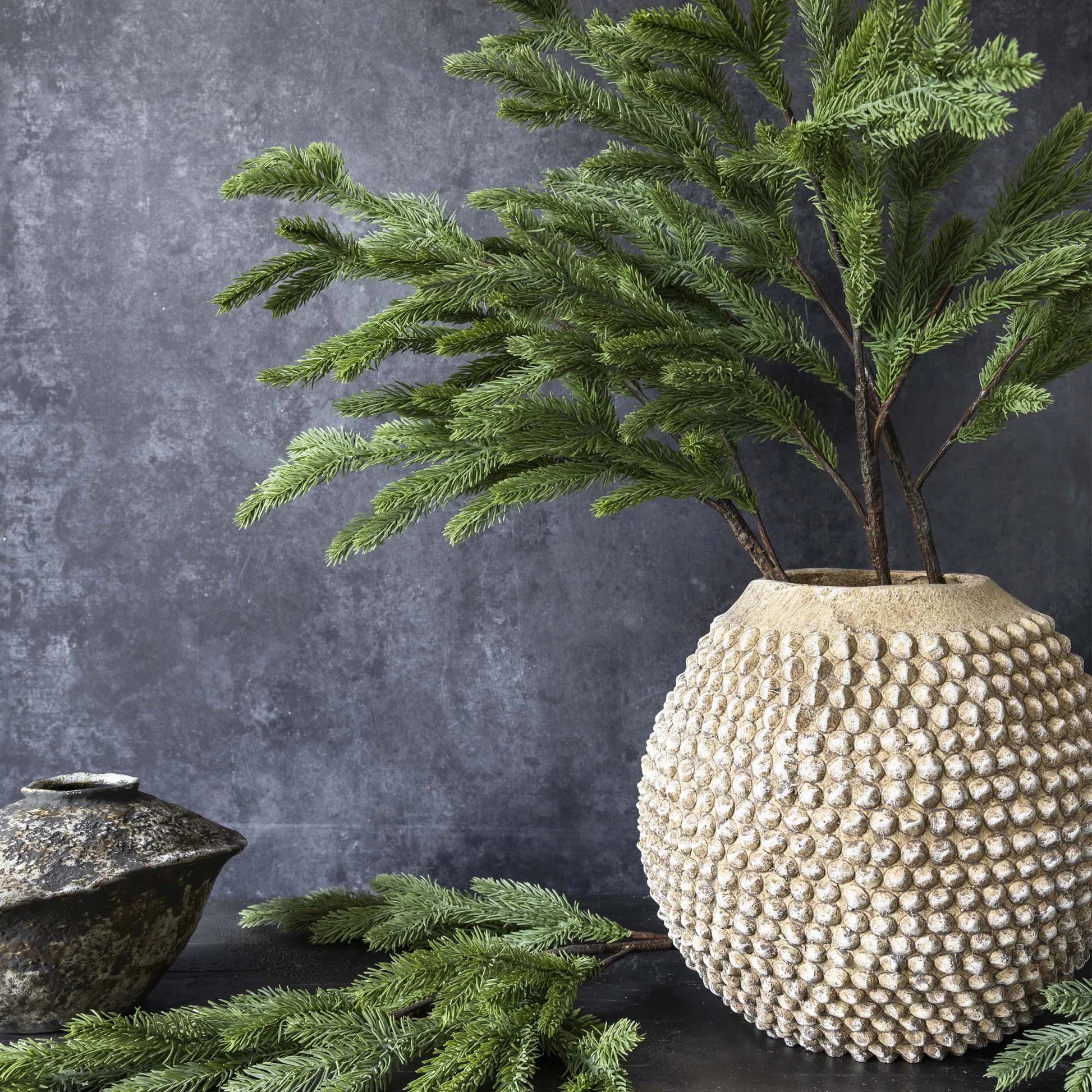 Abigail Ahern’s Foxtail Pine branches are arranged in a textured beige vase on a dark surface, paired with a rustic pot and extra pine stems, all set before a gray stone backdrop.