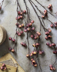 Abigail Ahern's Hawthorne Berry branches, adorned with clusters of small purple and yellow berries, are displayed on a textured stone surface beside a beige container and neatly stacked cloth and paper in the corner.