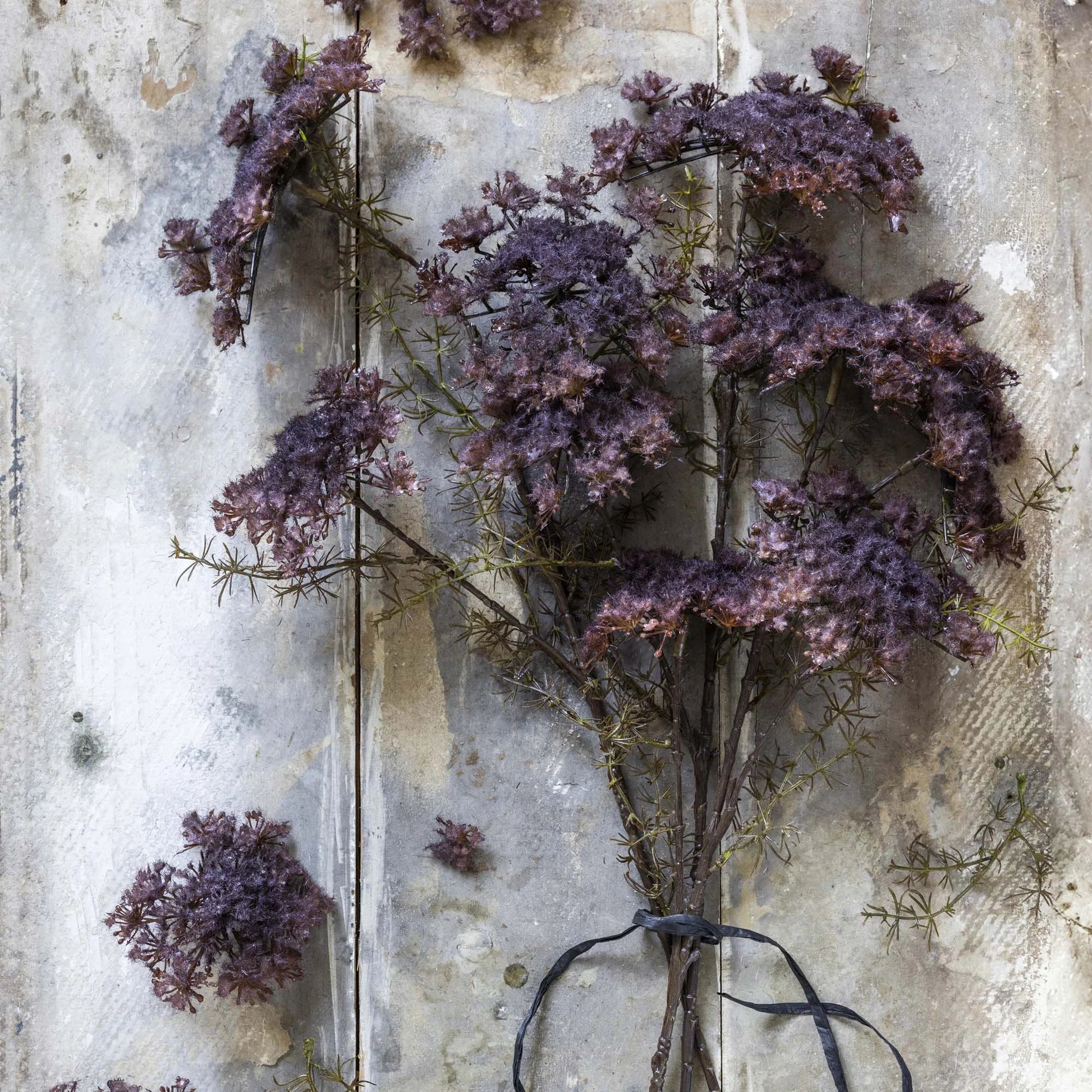 Abigail Ahern's Queen Anne's Lace Purple features dried, purple florals with faux accents, tied with black wire and displayed against a rustic, weathered wood backdrop for a timeless botanical look.