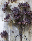 Abigail Ahern's Queen Anne's Lace Purple features dried, purple florals with faux accents, tied with black wire and displayed against a rustic, weathered wood backdrop for a timeless botanical look.