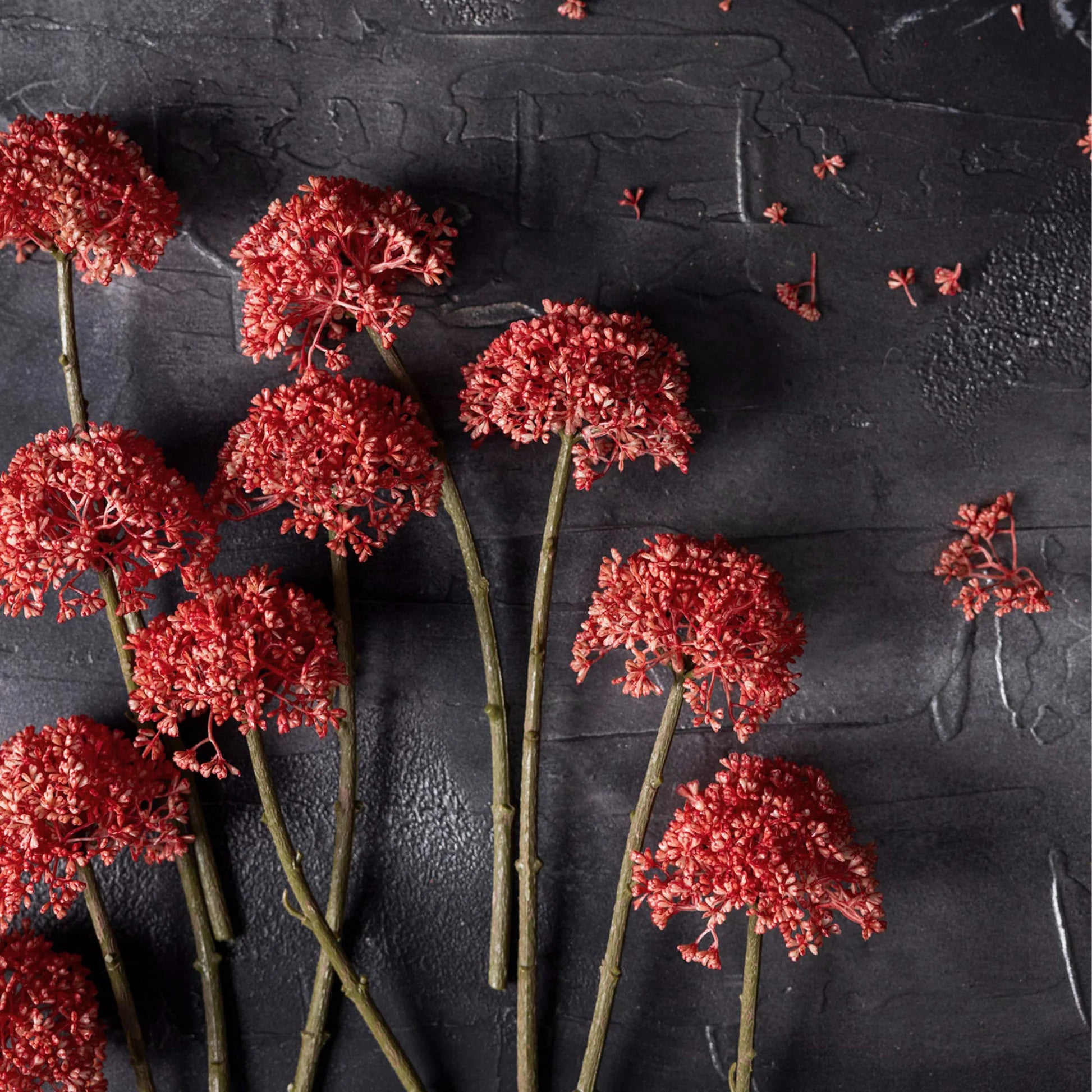 Sedum Coral by Abigail Ahern features red clusters of artificial flowers on long, thin stems, arranged against a textured dark gray background with a few small flower fragments nearby.