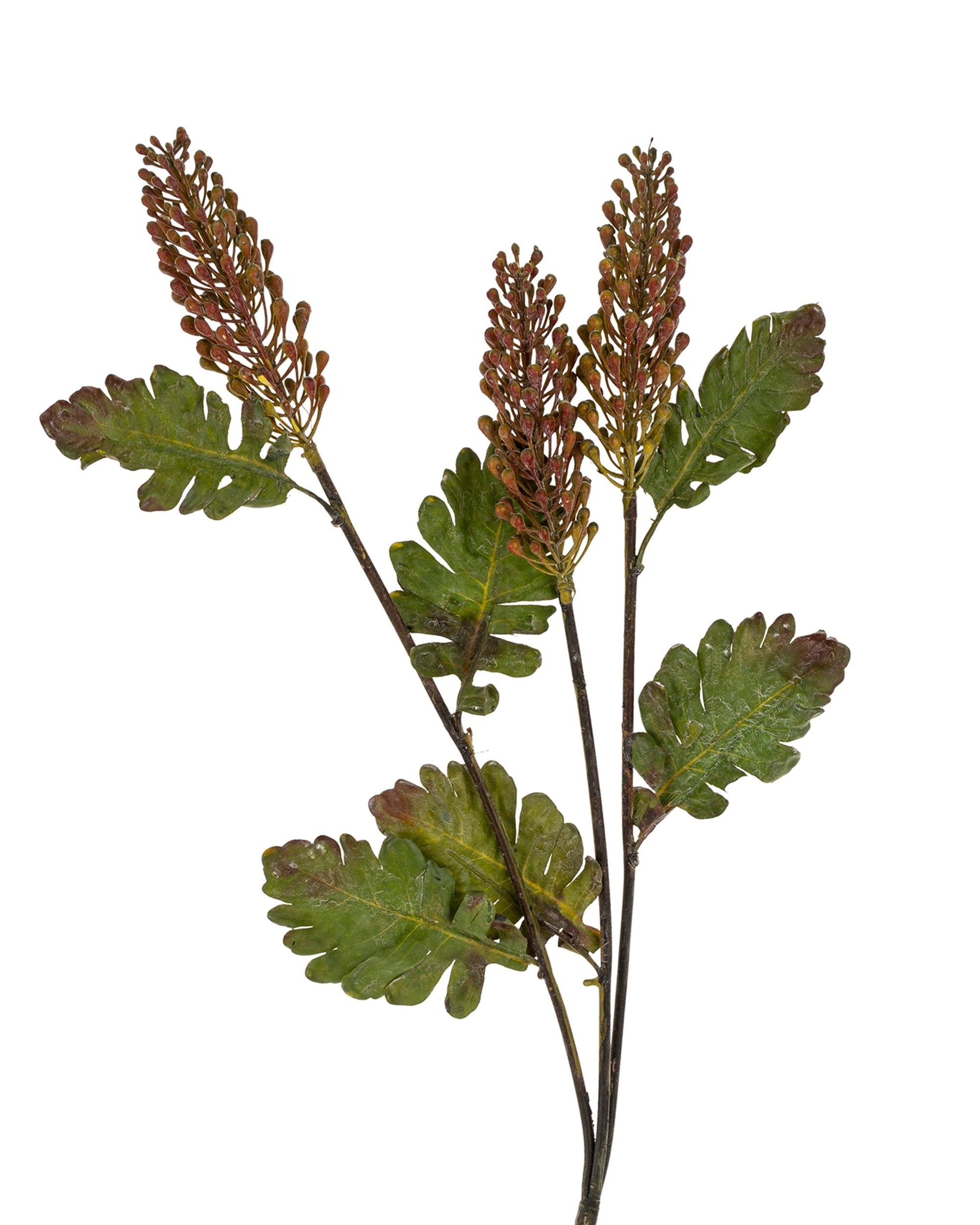 Indaba's Astilbe Floral Spray includes three stems with narrow clusters of reddish-brown faux buds and broad green lobed leaves, arranged against a crisp white background for a lifelike display.