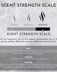 Infographic titled "Scent Strength Scale" shows a gradient bar from soft to strong. Soft is subtle, medium is balanced, and strong—like the Faire 55 OZ Diptyque Candle with black pepper fragrance—is intense and long-lasting.