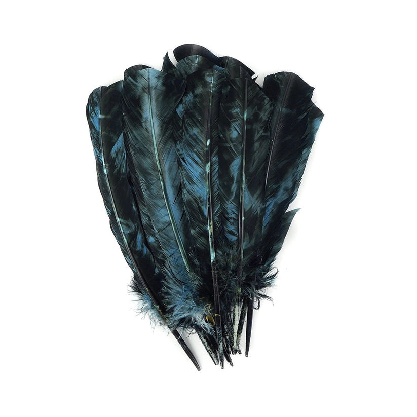 Faire Feathers: Long, glossy black turkey feathers with subtle blue-green iridescence, fan-shaped and displayed on a white background.