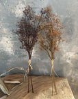 Two small 22" Faux Seeded Baby's Breath Bunches by Faire—one dark reddish-brown, one golden-brown—are tied with twine and set against a textured gray-blue background with a draped tan cloth.
