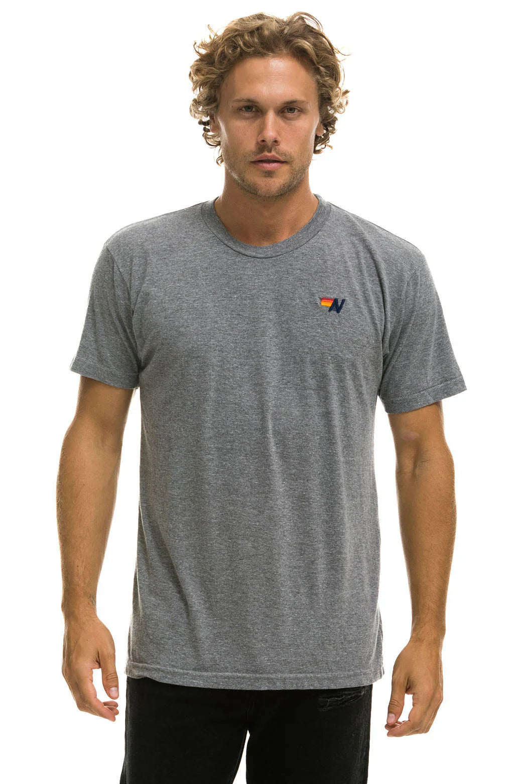 A man with wavy hair is wearing an Aviator Nation basic crew tee shirt in gray with a small logo on the left chest, standing against a plain white background.