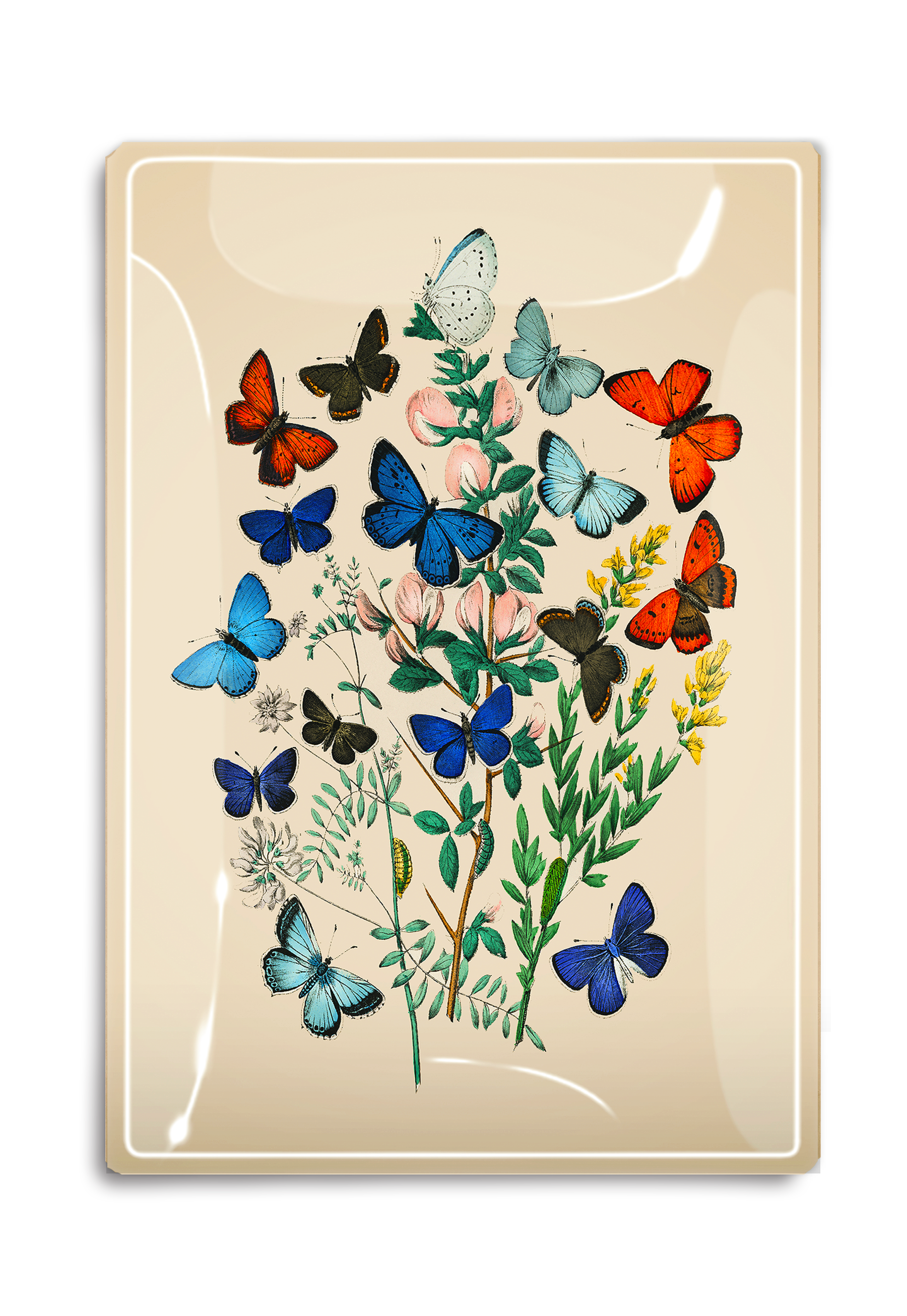 The Garden Butterflies Glass Tray by Faire is a food-safe serving tray featuring colorful butterflies, green leaves, and pink flowers on a cream background, expertly handcrafted in New York.