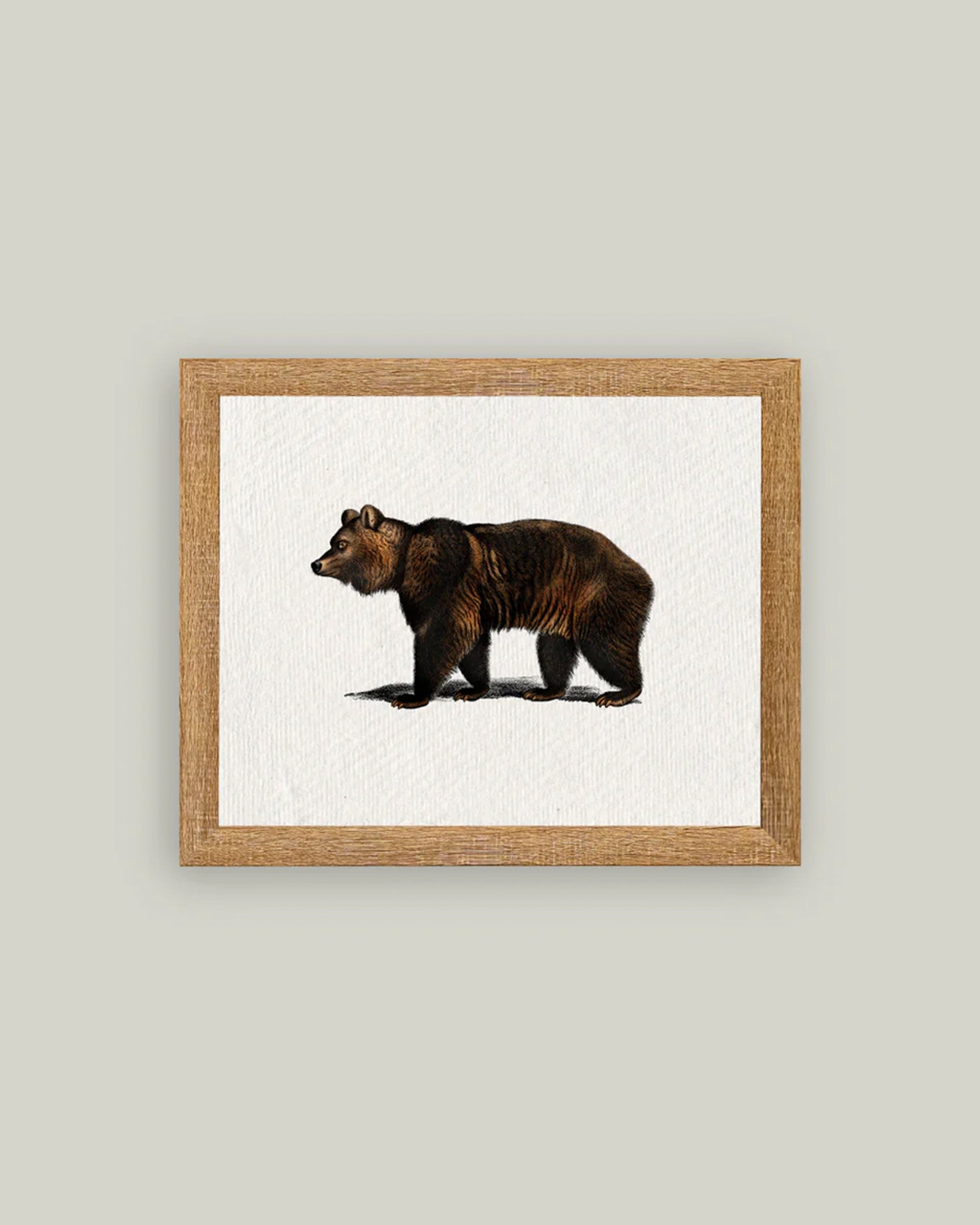 Bear Art by Petal Lane Home features a framed illustration of a brown bear on a plain white background, displayed in a light wooden frame and centered on a neutral light gray wall for an authentic wall art appeal.