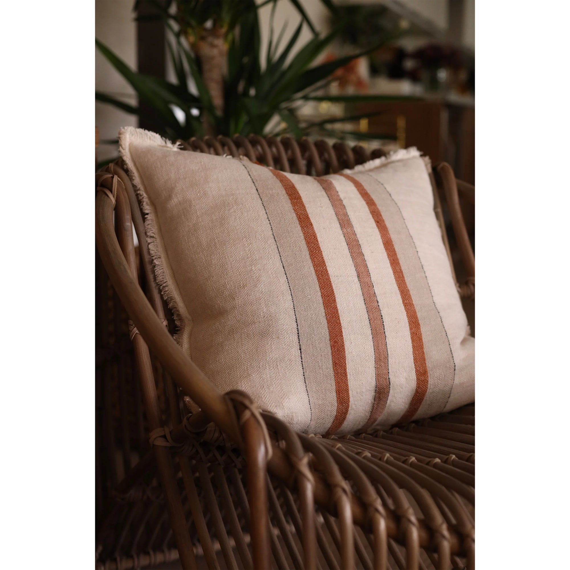 A Beck Big Pillow 28x36 by POM POM in soft beige linen with brown and black vertical stripes rests on a brown wicker chair, green plant leaves in the background.