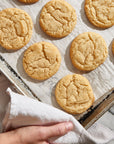 A hand uses a white cloth to hold a baking tray lined with parchment, displaying rows of golden brown Wild Rye Sugar Cookies made from Sugar Cookie Mix, featuring a crackled surface.
