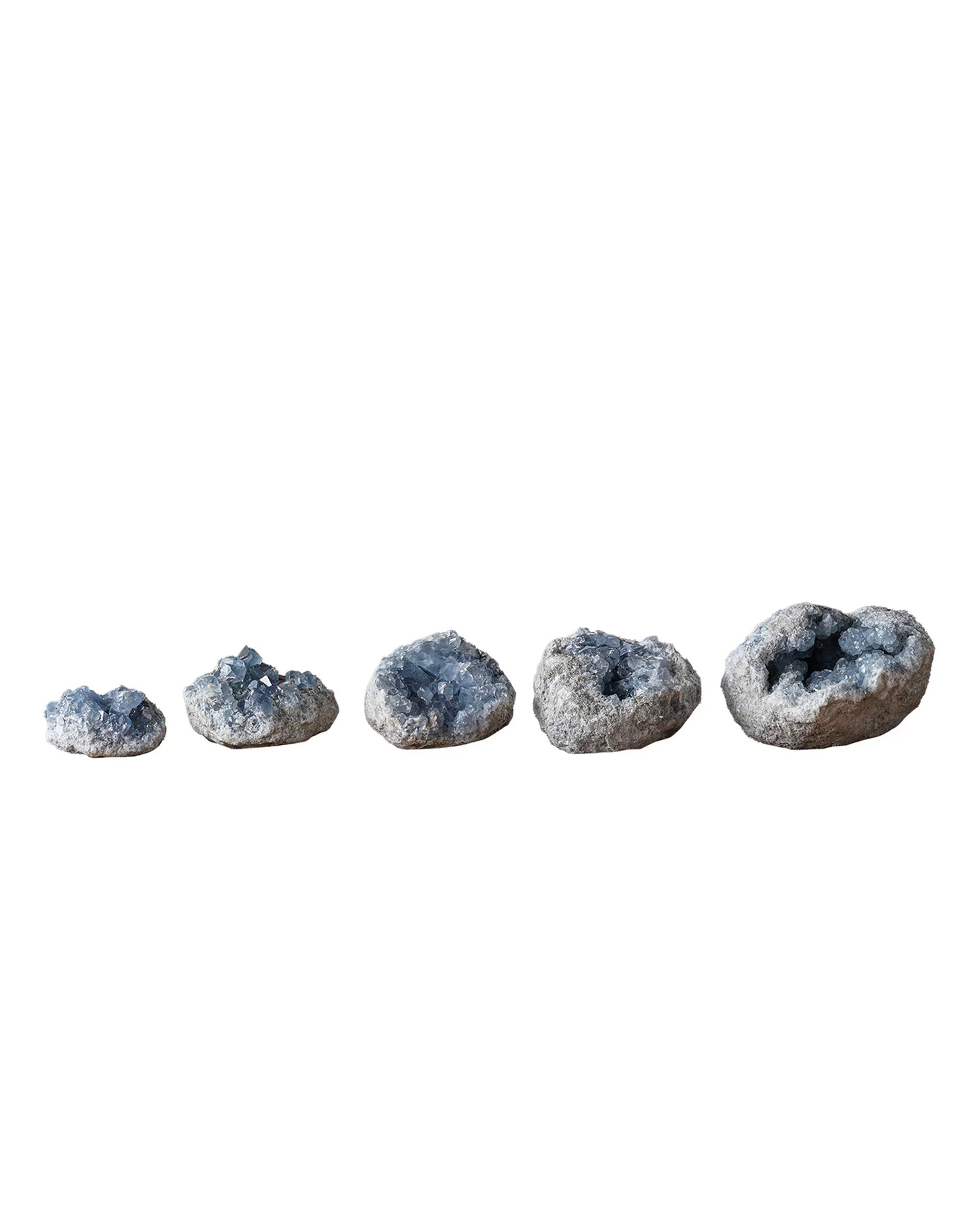 Five Celestite Geode rocks by Blue Ocean Traders, featuring blue crystal formations, are arranged from smallest to largest on a white background—ideal as unique decorative geodes or shelf fillers.