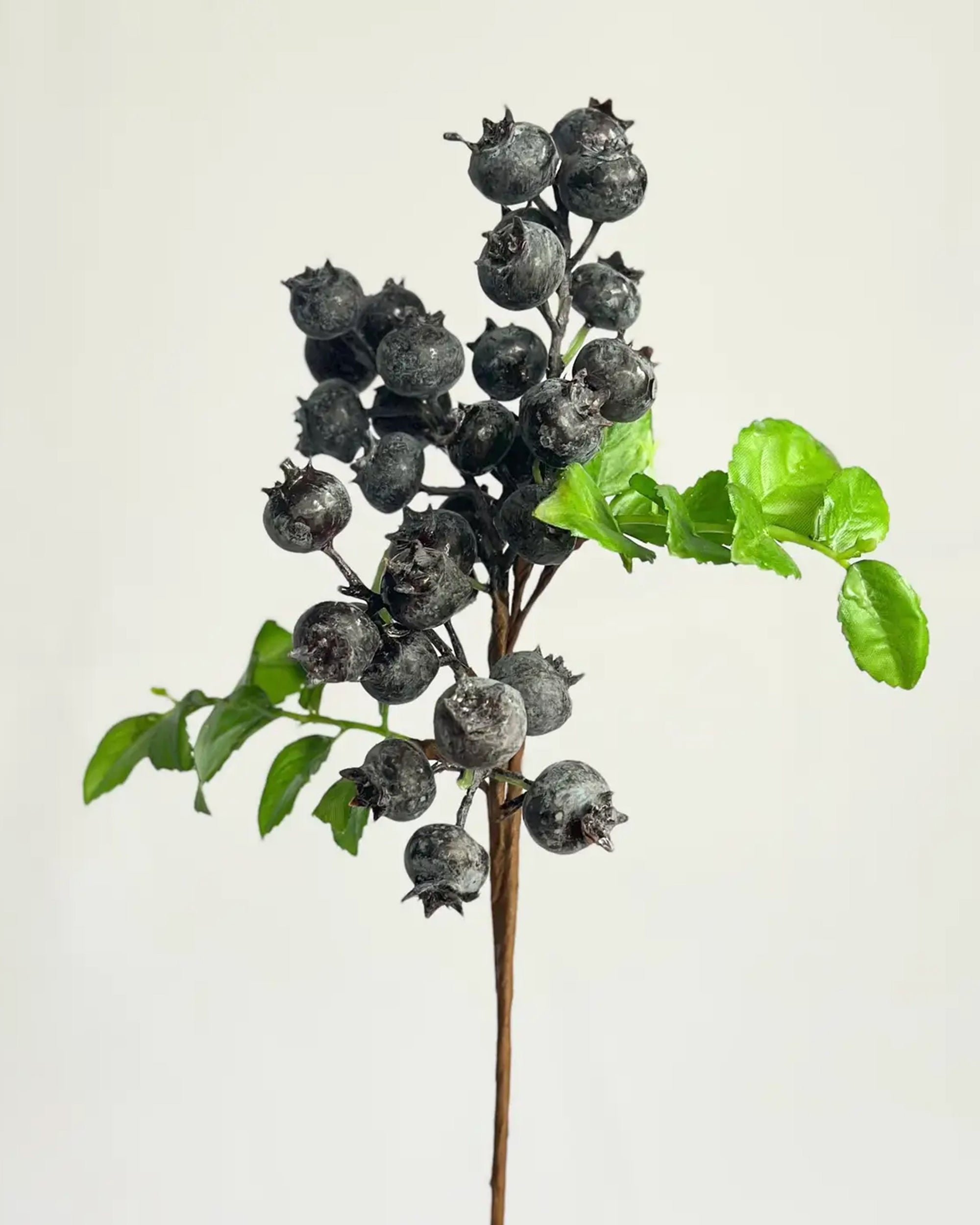 The Faire 14" Blueberry Pick features dark, round artificial berries with dried crowns and vibrant green leaves on a branch, set against a light background—perfect for year-round decor.