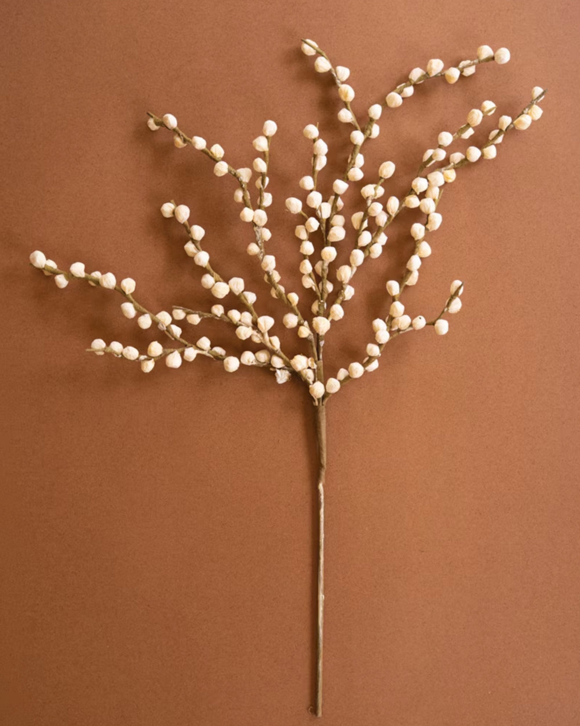 Brown stem with clustered white buds by Kalalou, perfect for floral arrangements or accent decor.