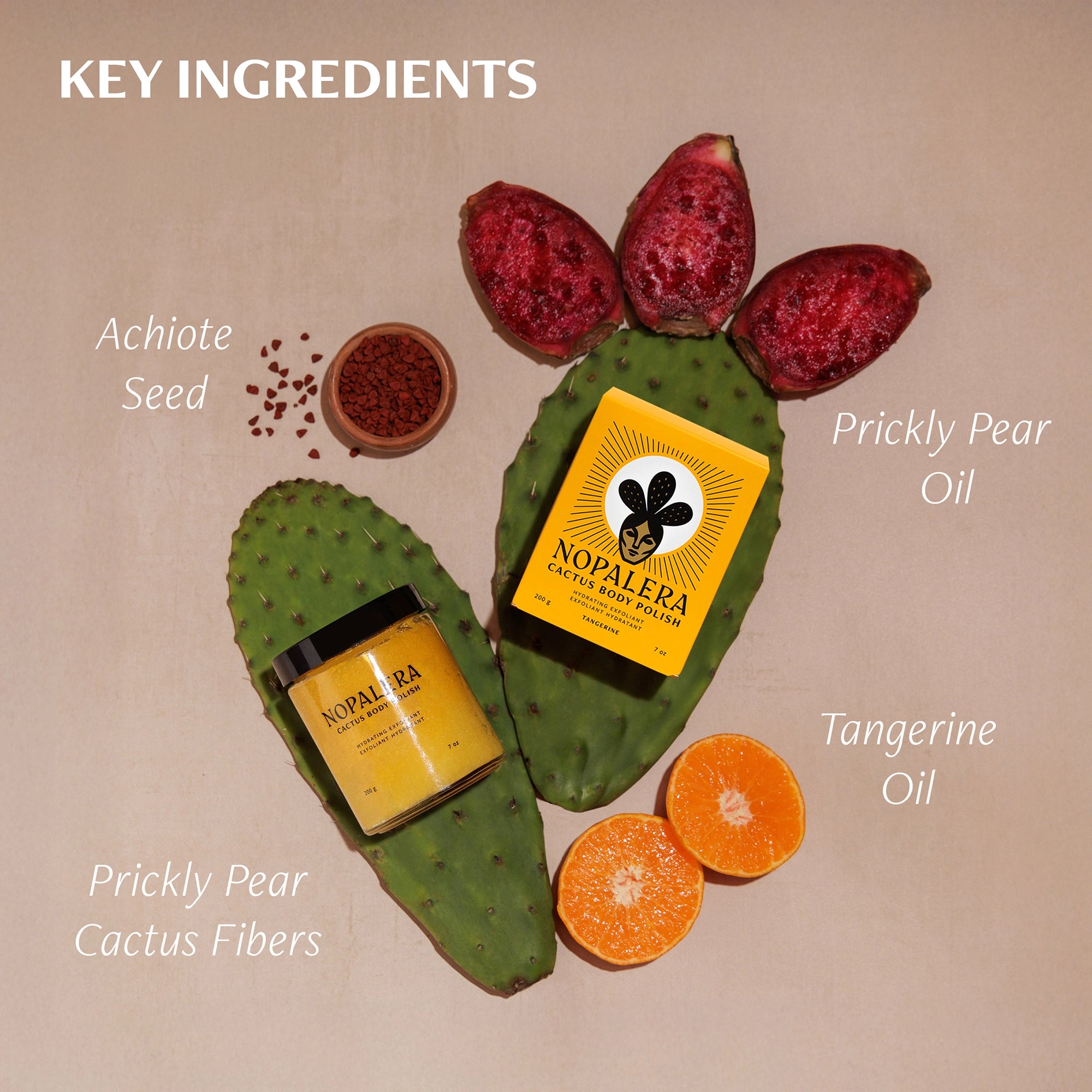 A flat lay shows Faire's Tangerine Cactus Body Polish with box, achiote seed powder, prickly pear fruit, and halved tangerines—the key exfoliant ingredients are achiote seed, prickly pear oils and fibers, and tangerine oil.