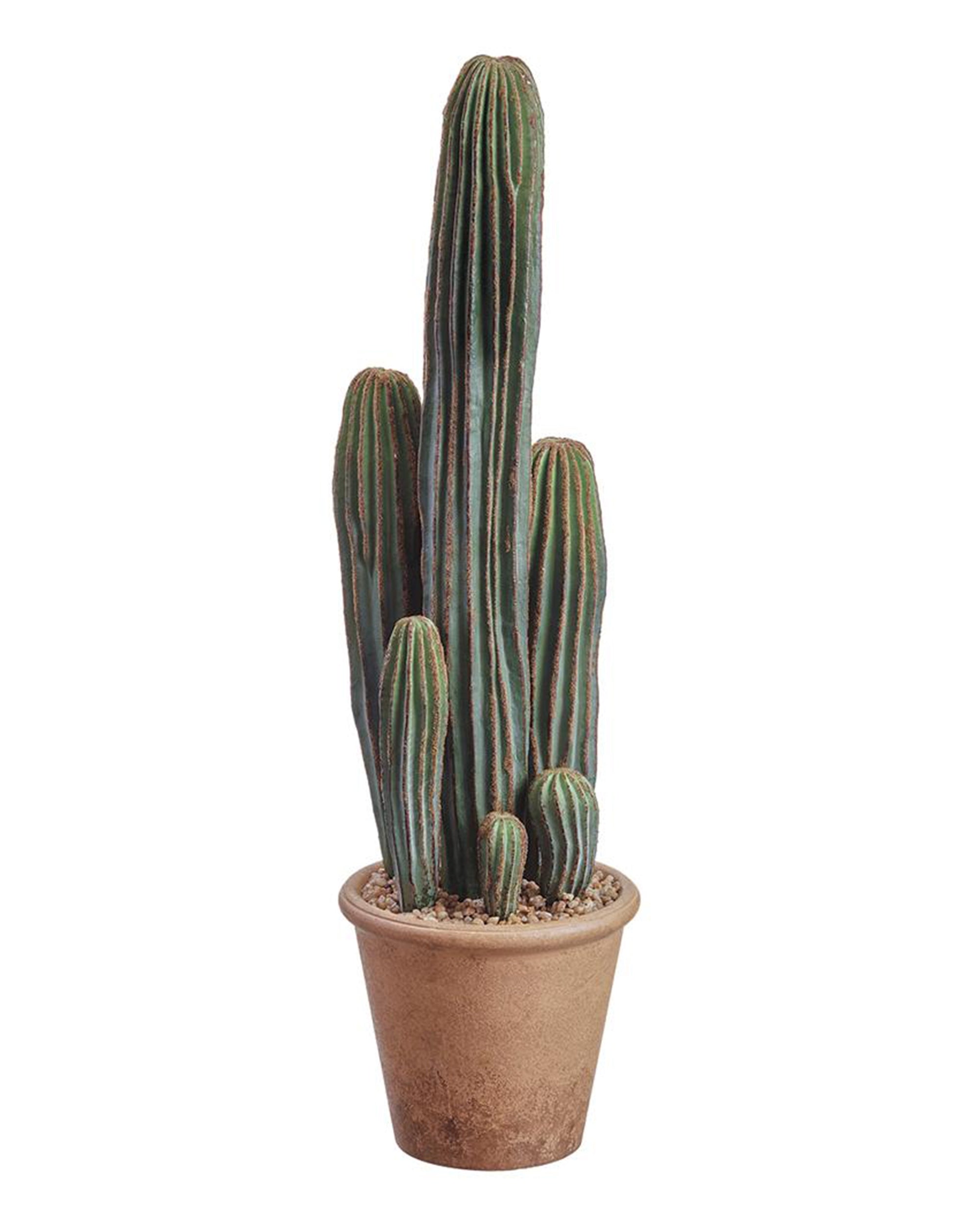 The AllState Floral And Craft COLUMN CACTUS 26" features a tall, green cactus with upright arms in a textured brown paper mache pot with pebbles, showcased against a white background.