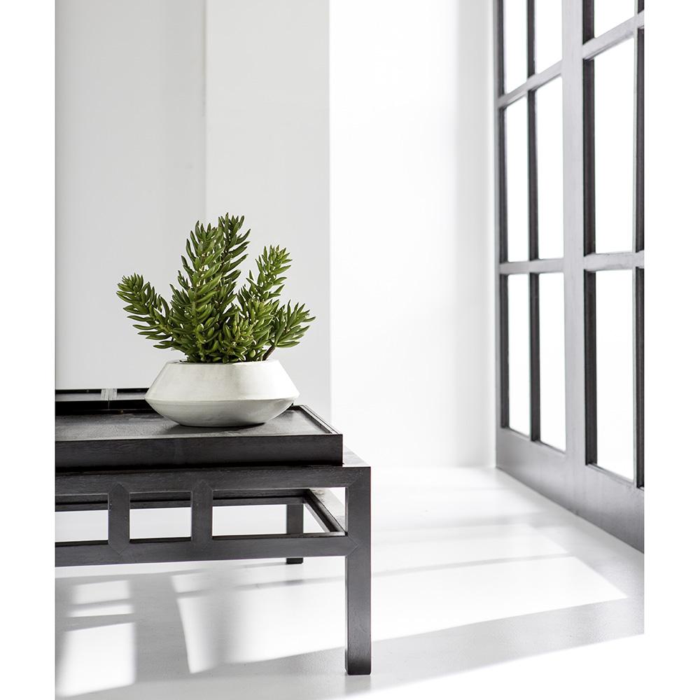The AllState Floral And Craft Senecio in Planter sits on a modern black table near large grid-style windows in a bright, minimalist room.