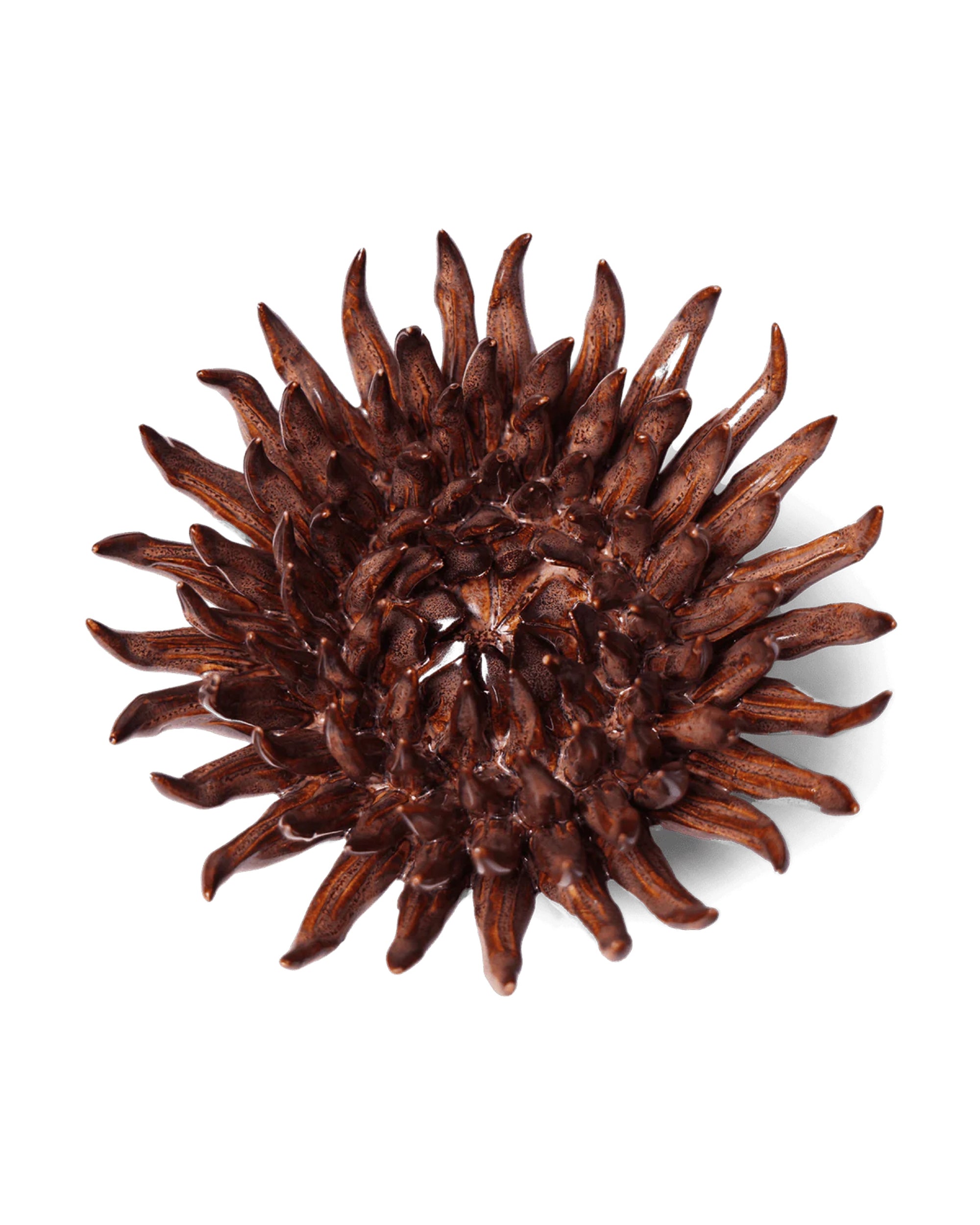 The Chocolate Mum by Chive Ceramics (thru Faire) features dark brown, pointed seed pods arranged in a circular, flower-like pattern—ideal for unique Easter art or an eye-catching home decoration.