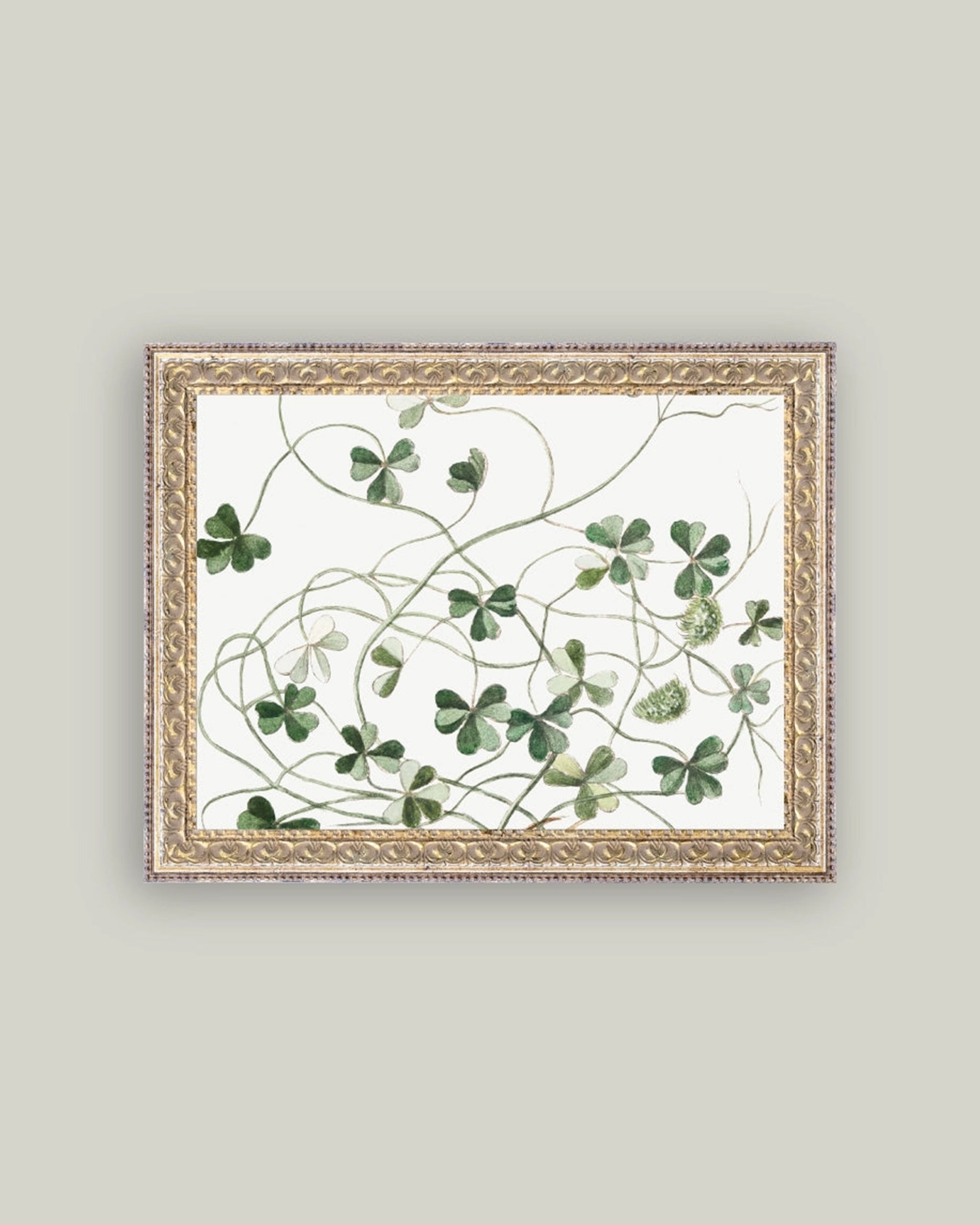 Pressed Clovers by Petal Lane Home features green clover leaves and winding vines on a white canvas print, accented by a gold ornate handcrafted frame and displayed against a light gray wall.
