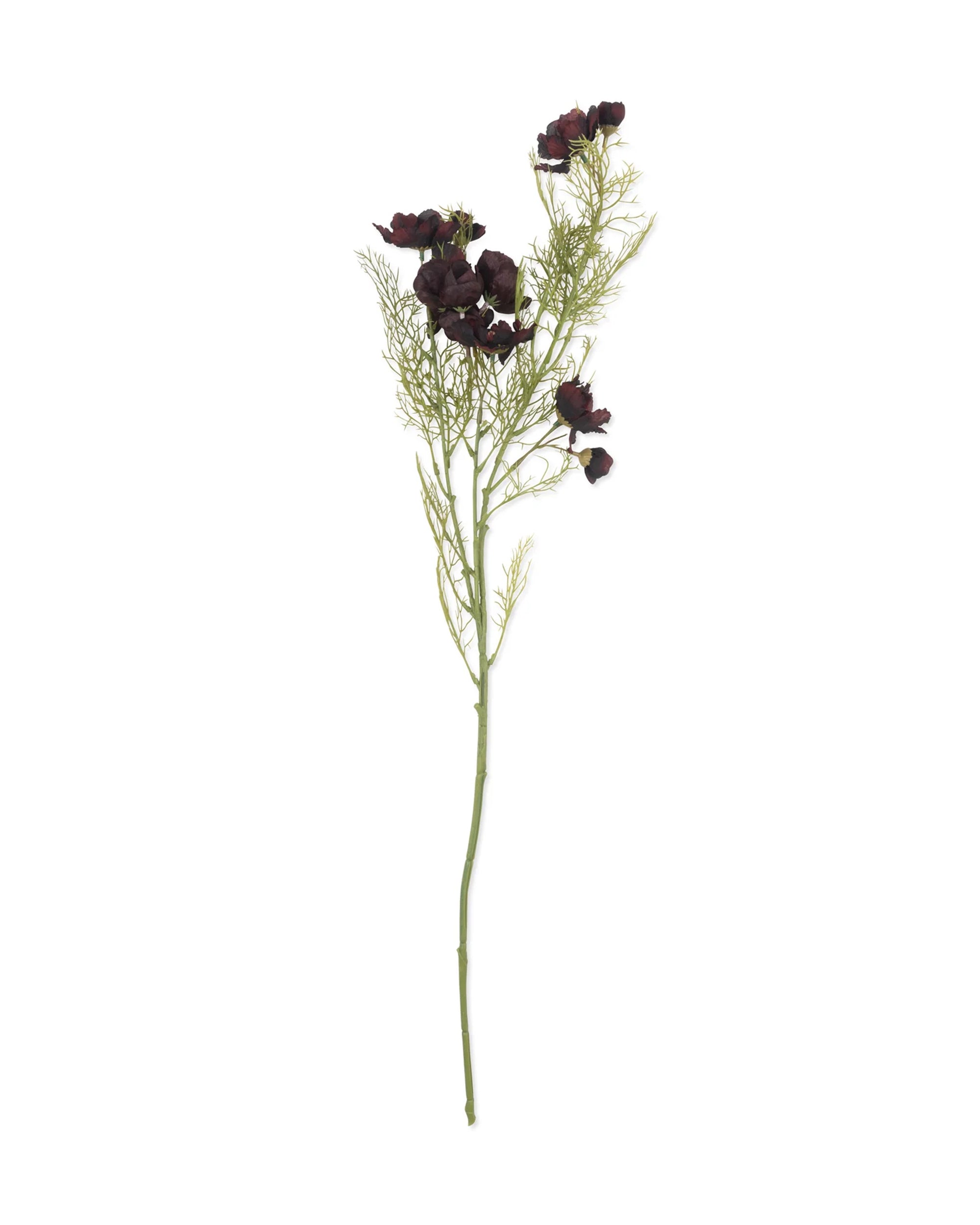 Abigail Ahern's Cosmos /Burgandy: a single artificial flower stem with feathery leaves and small, dark purple hand-painted fabric flowers, shown isolated on a white background.