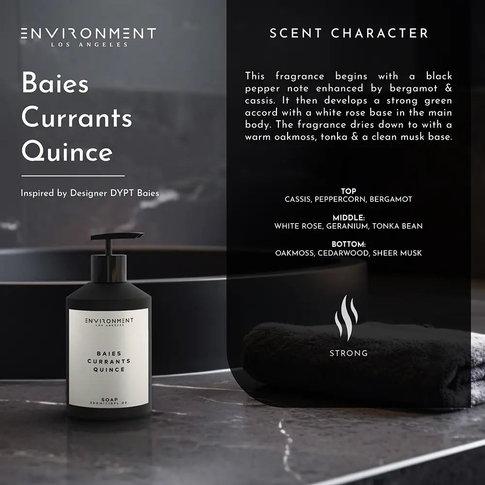A bottle of Faire’s Inspired Hand Soap labeled “Baies Currants Quince” rests on a stone surface, featuring a black pepper scent blended with bergamot, cassis, tonka bean, oakmoss, cedarwood, and musk.