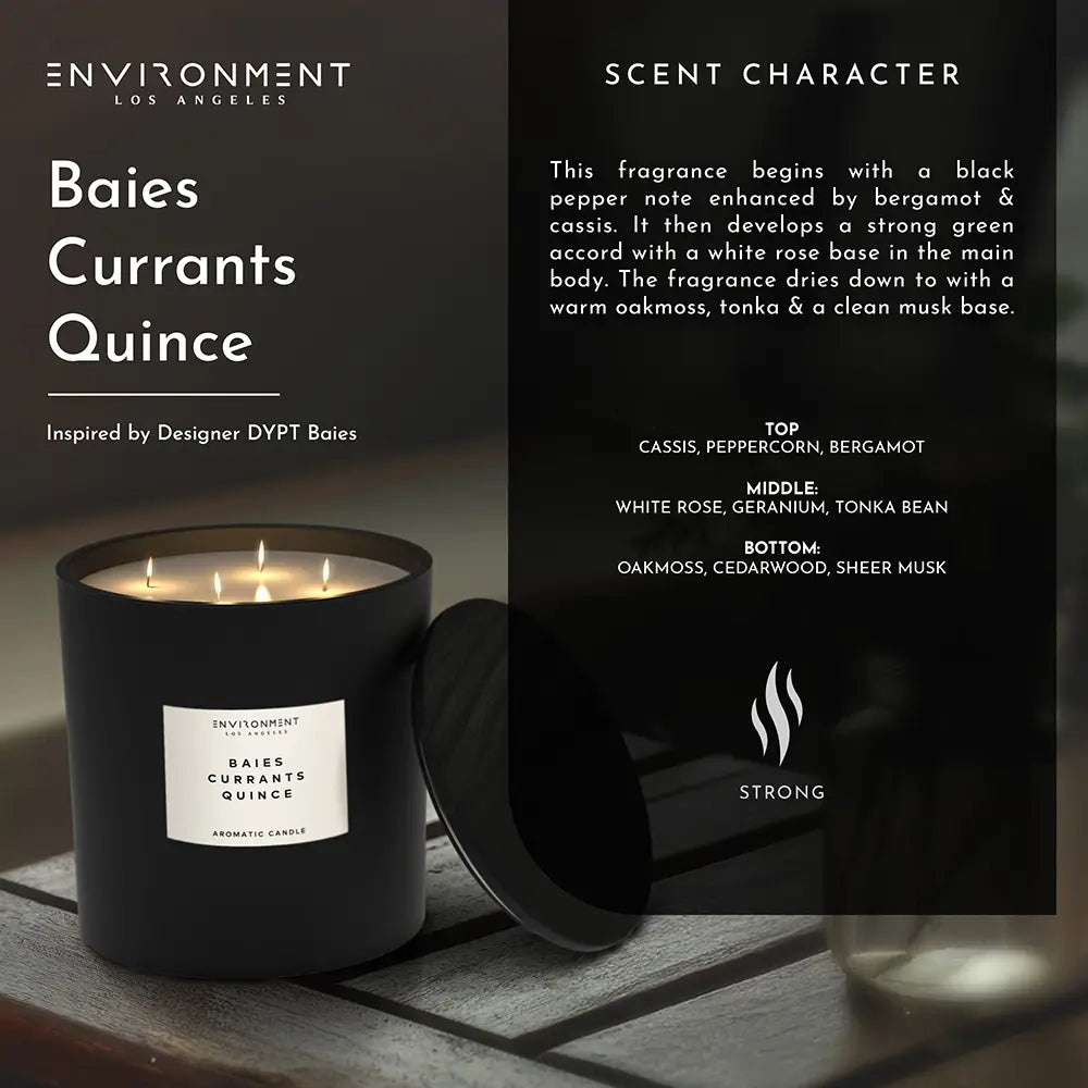 A 55 OZ black coconut wax candle by Faire, labeled "Baies Currants Quince," sits beside its lid. Inspired by Diptyque, it features a strong scent profile: cassis, peppercorn, bergamot, rose, and oakmoss.