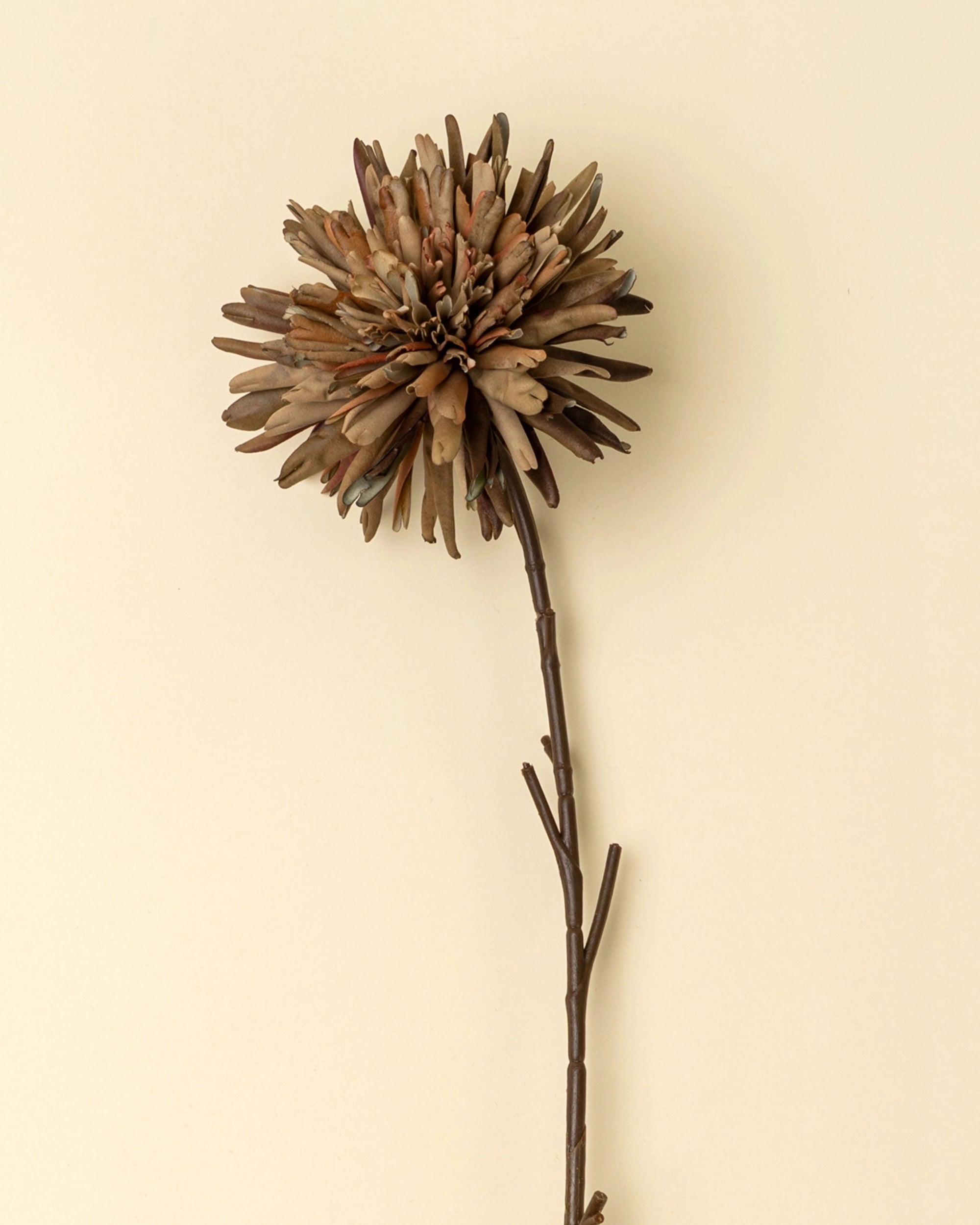 The Indaba Dahlia Stem Russet features layered brownish petals and a thin stem, standing against a beige background—perfect as subtle accent decor.