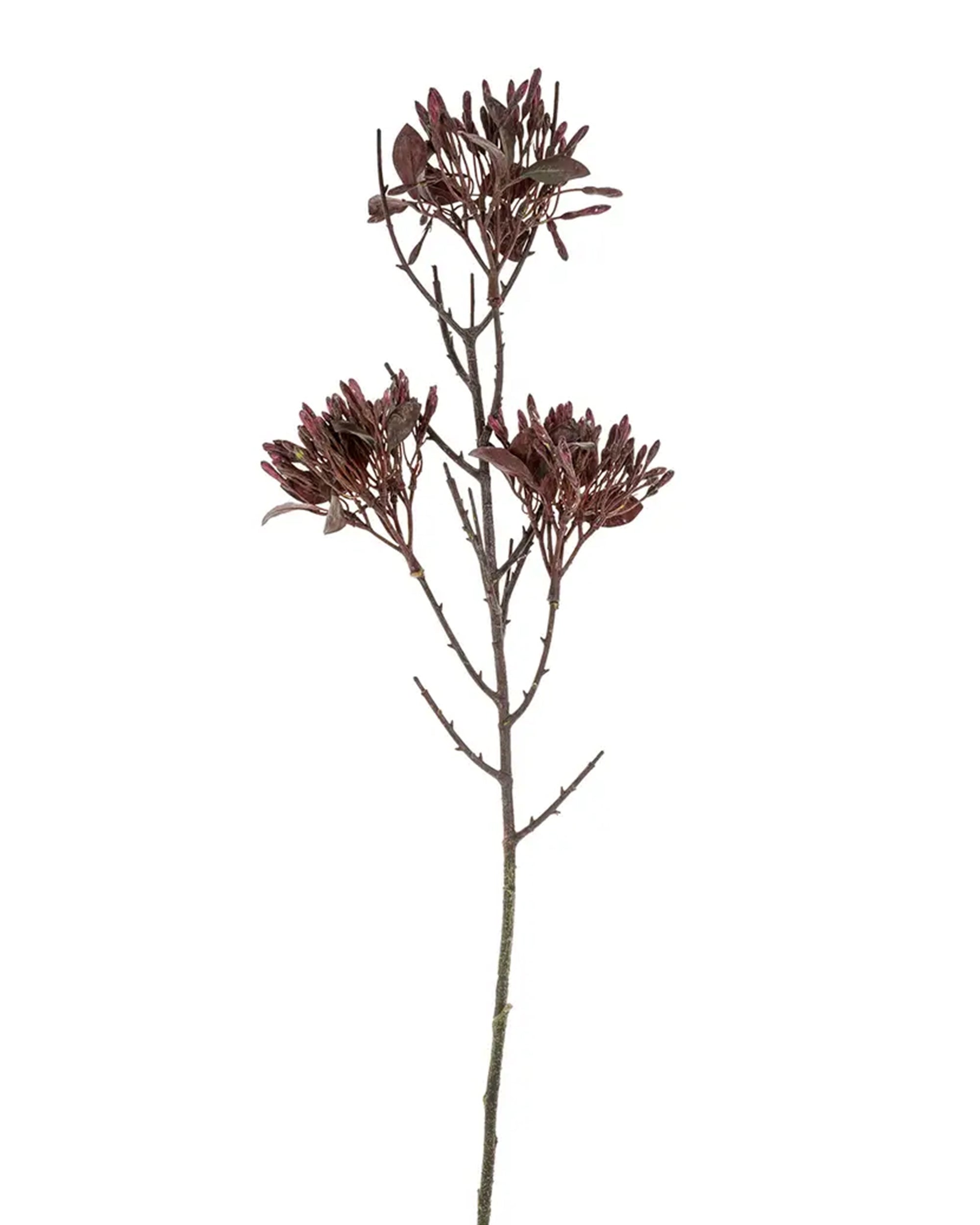 The Indaba Wild Flower Spray Dark Purple features a tall, single dried branch with clusters of dark purple buds on thin stems, creating a sculptural botanical accent that's perfect against a plain white background.