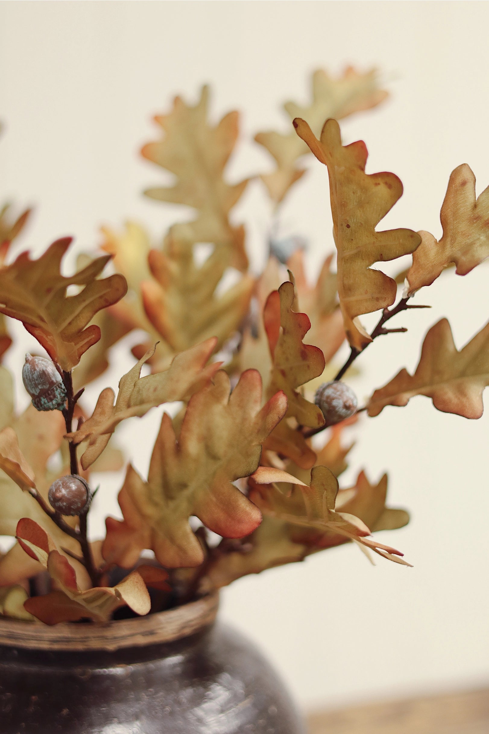 Dark vase with dried oak leaves and acorns, eco-friendly decor by Bungalow Furniture &amp; Accessories.