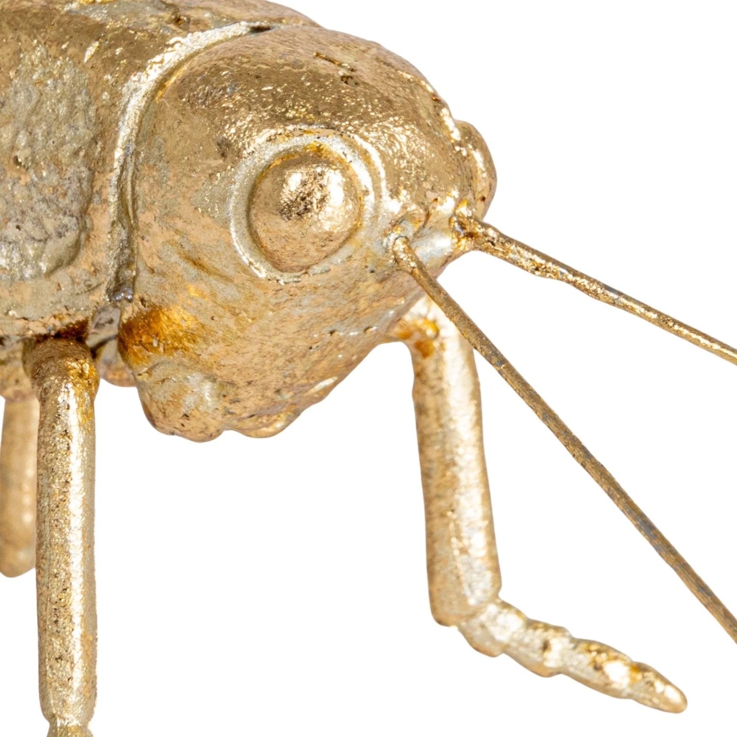 Close-up of the Grasshopper Gold sculpture by Creative Co-op, showcasing its metallic gold finish and detailed antennae, eyes, and legs against a white background.