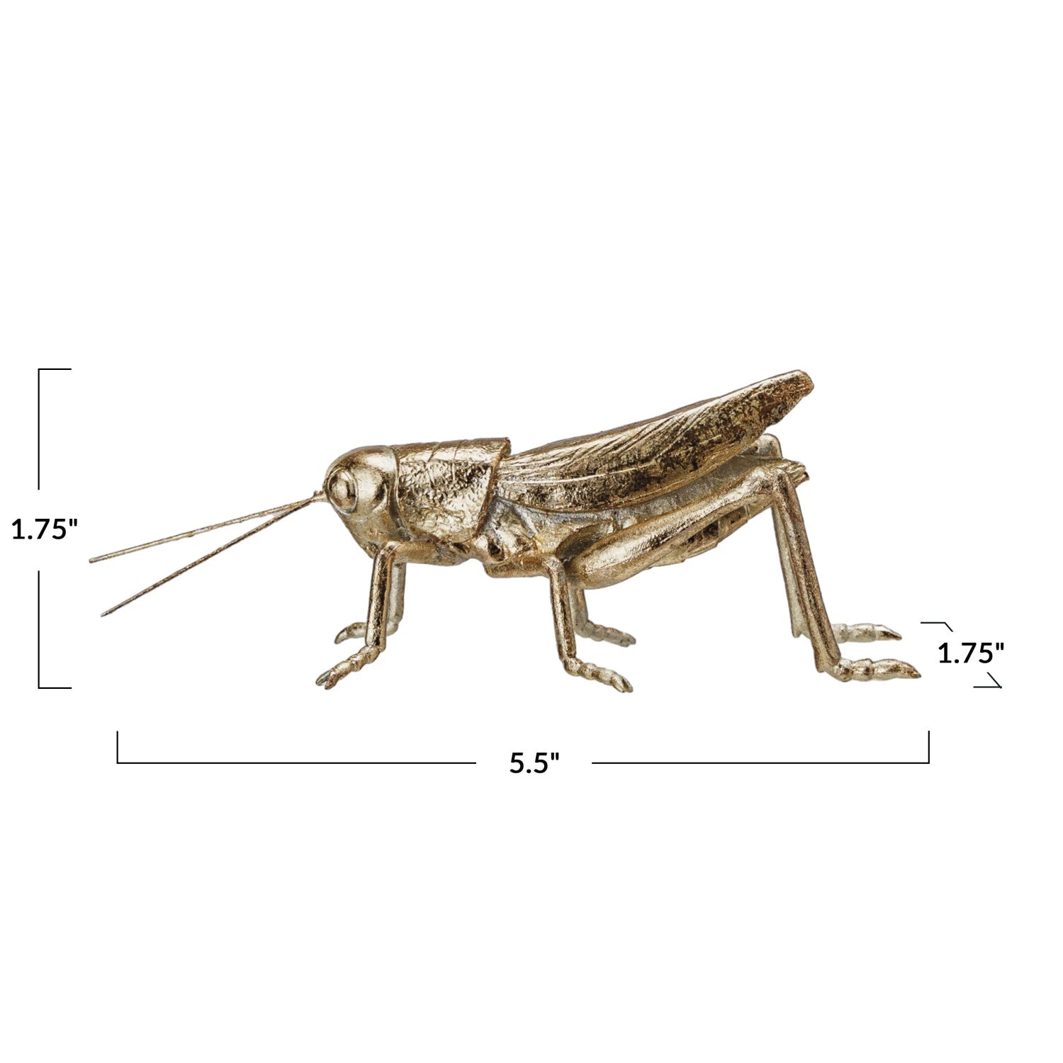 The Grasshopper Gold by Creative Co-op is a gold-colored metal figurine shown in profile, measuring 5.5"L x 1.75"W x 1.75"H—a stylish piece of home decor.