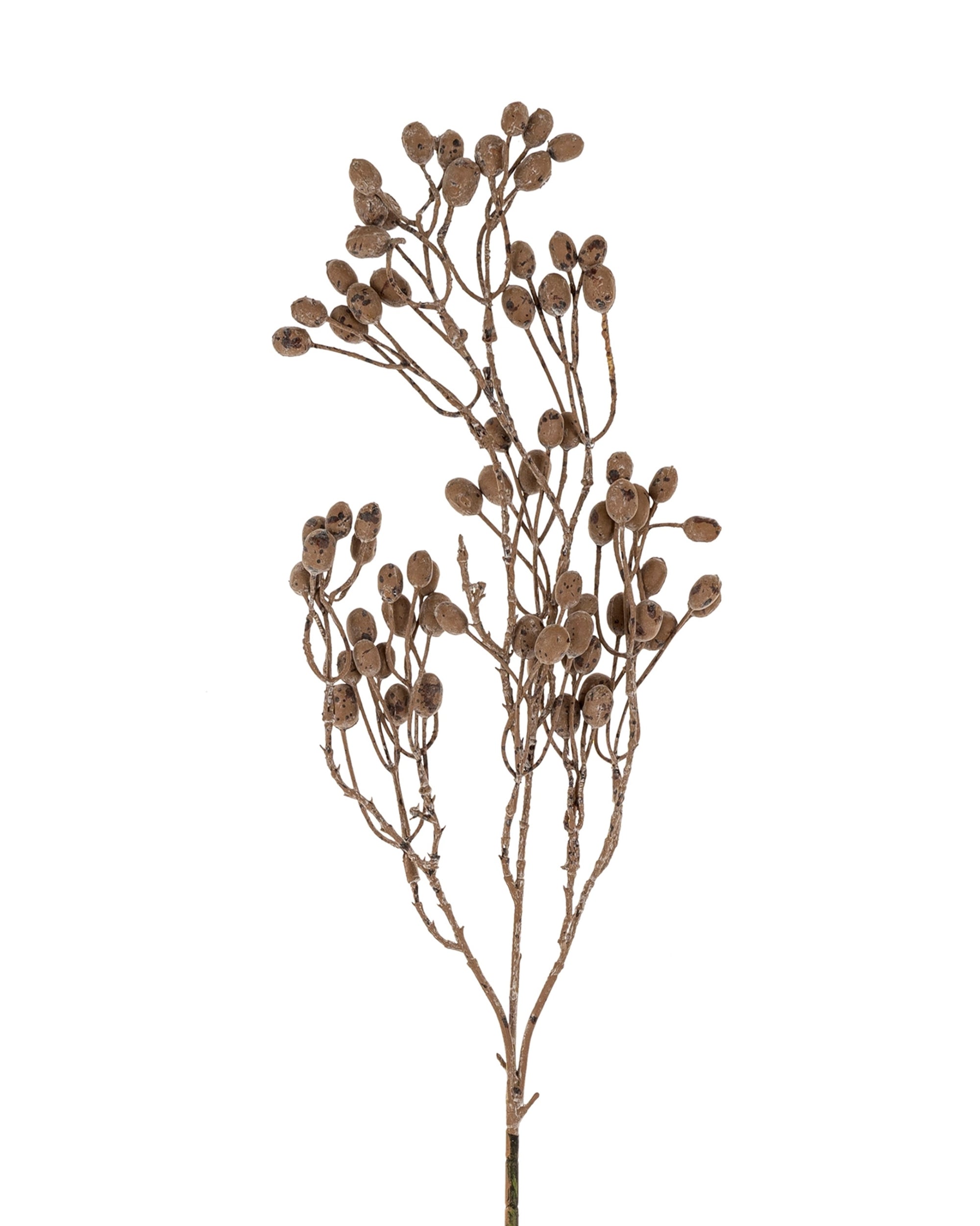 The Indaba Dried Berry Branch features multiple slender stems with small, round brown seed pods. Perfect as faux botanical or natural decor, this single branch adds a rustic touch to any space.