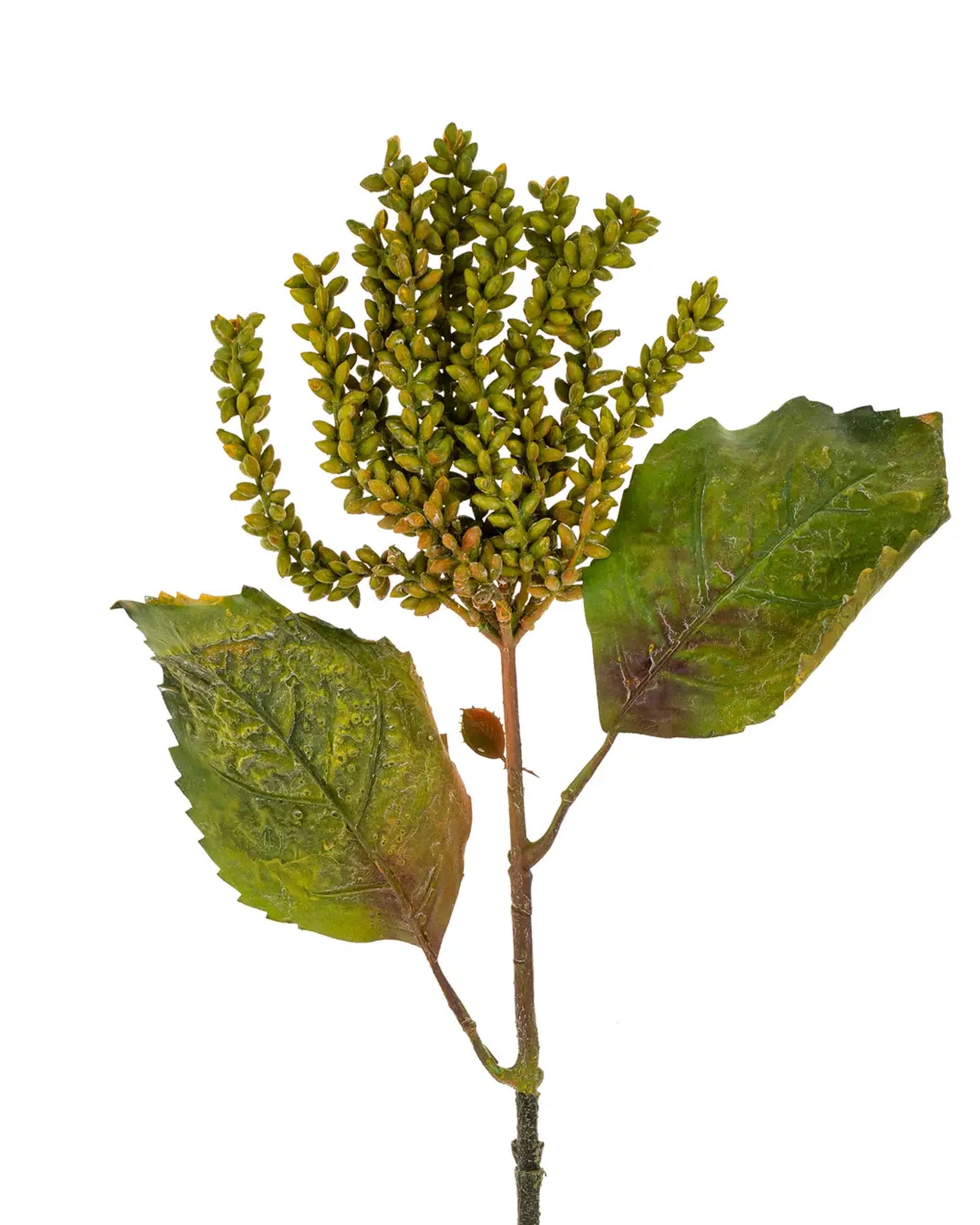 The Dripping Seed Stem by Indaba features three large, textured green leaves and clusters of small green buds, creating a striking faux botanical accent against a white background.