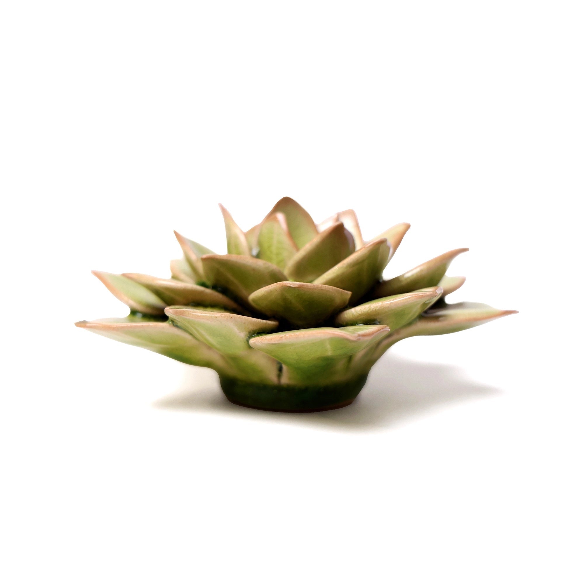 The Green Fairy Echeveria by Chive Ceramics (thru Faire) is a small green ceramic sculpture of a succulent with pointed leaves—ideal for coastal decor or to complement your ceramic flower collection.