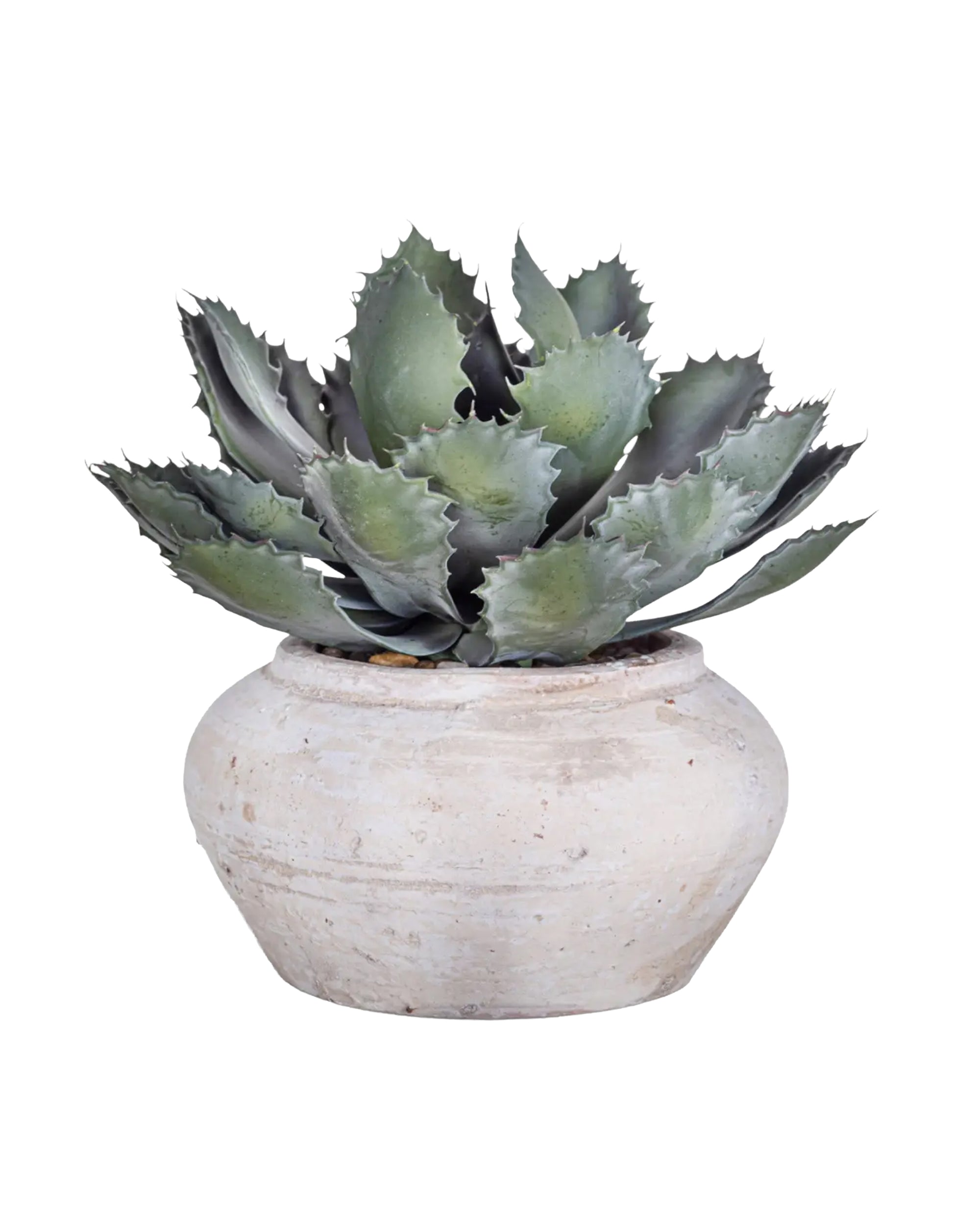 The Faire Esther Pot with Succulent features a green agave plant with spiky leaves in a round, rustic handmade pot, highlighting its unique color and texture, displayed against a white background.
