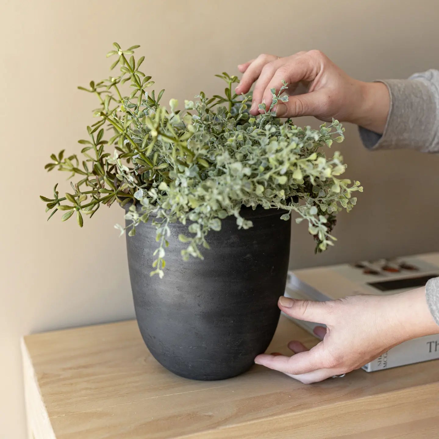 Someone places a green, leafy potted plant in the handmade Faire Lachlan Vase on a wooden surface beside a closed book.