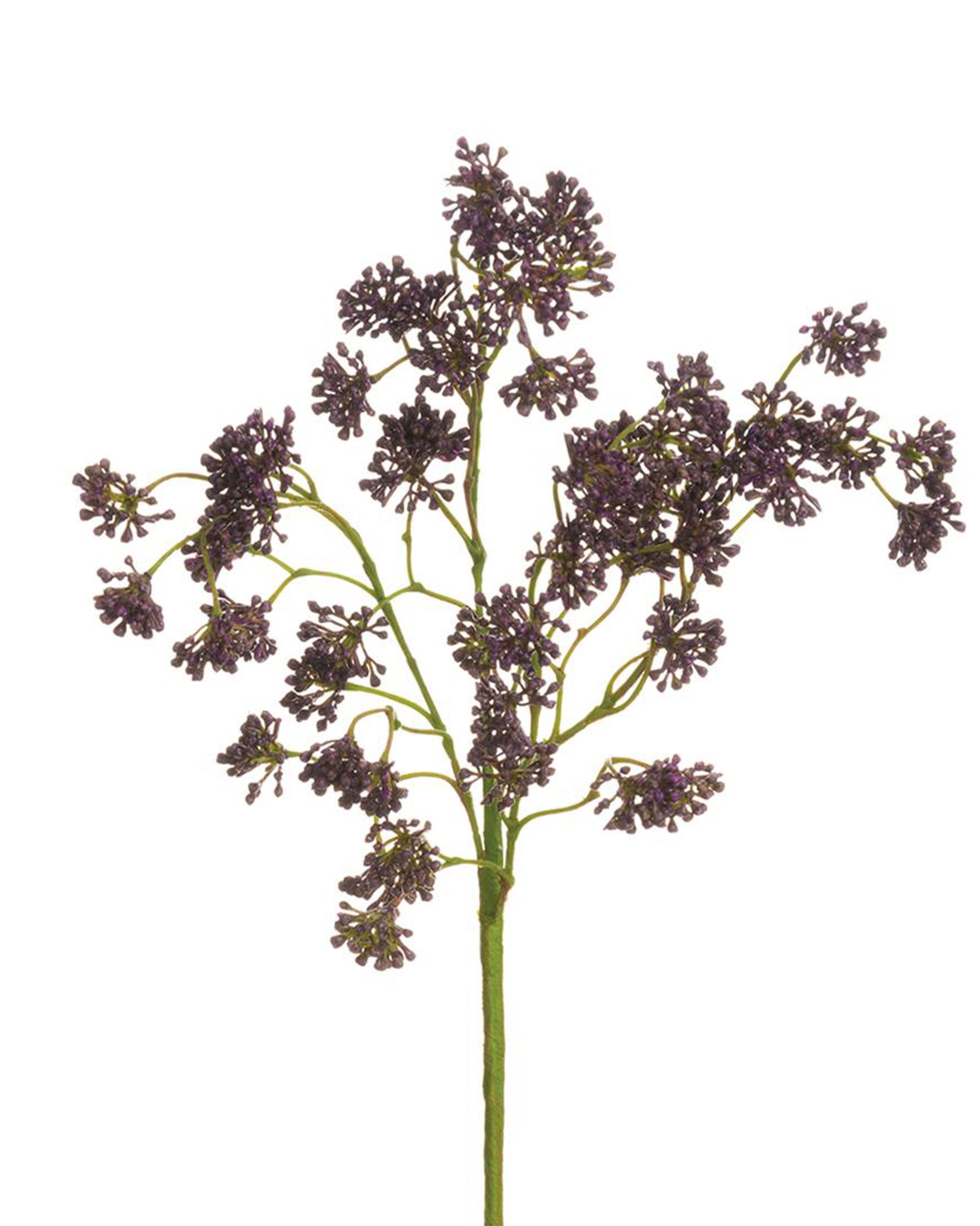 Single green stem with clusters of dark purple faux flowers, Faire Faux Soft Sedum Spray by Bungalow Furniture, 16 inches.