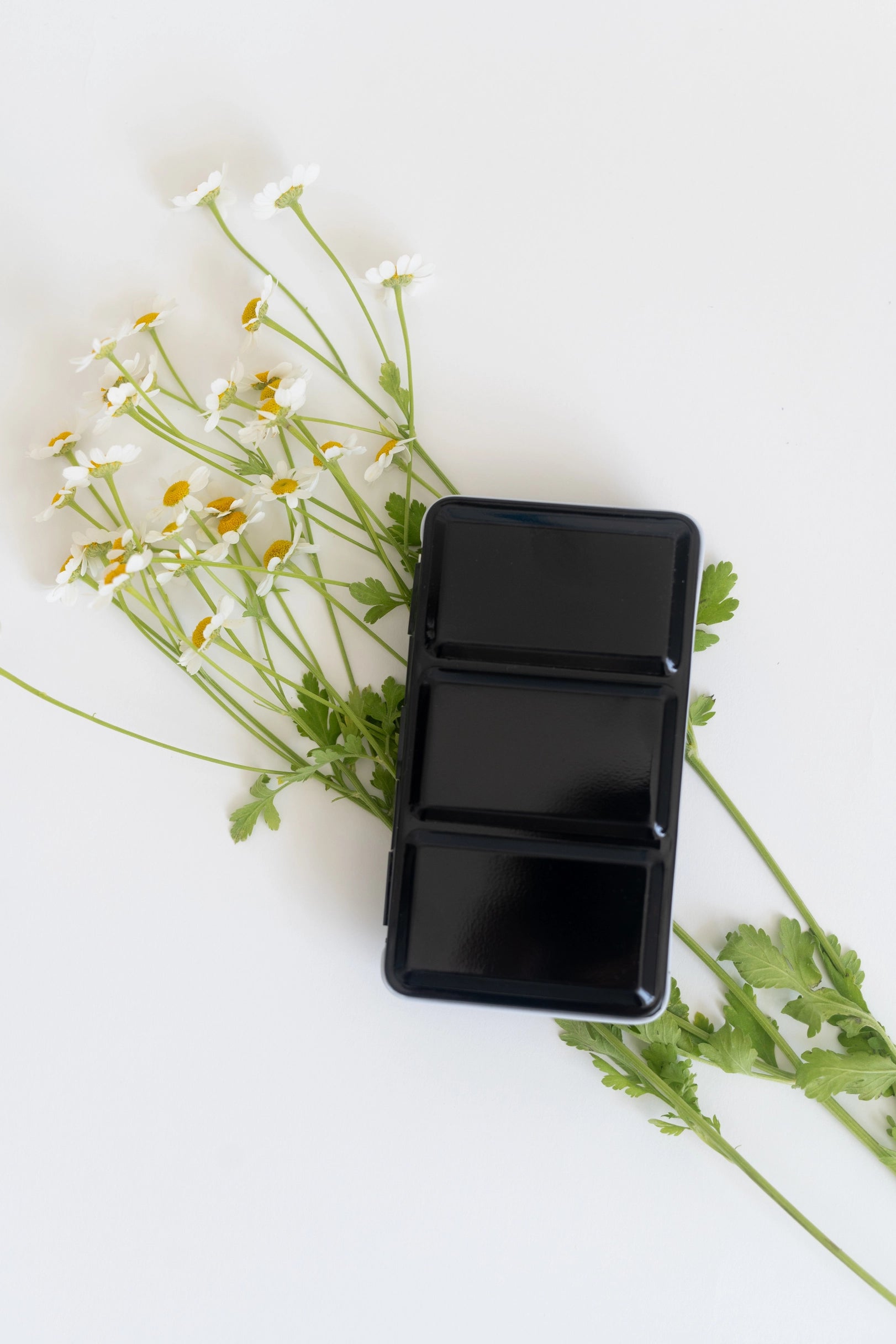 The Faire Travel Watercolor Paint Palette, a sleek black rectangular set, is displayed on white daisies and green leaves against a white background—an ideal gift for artists.