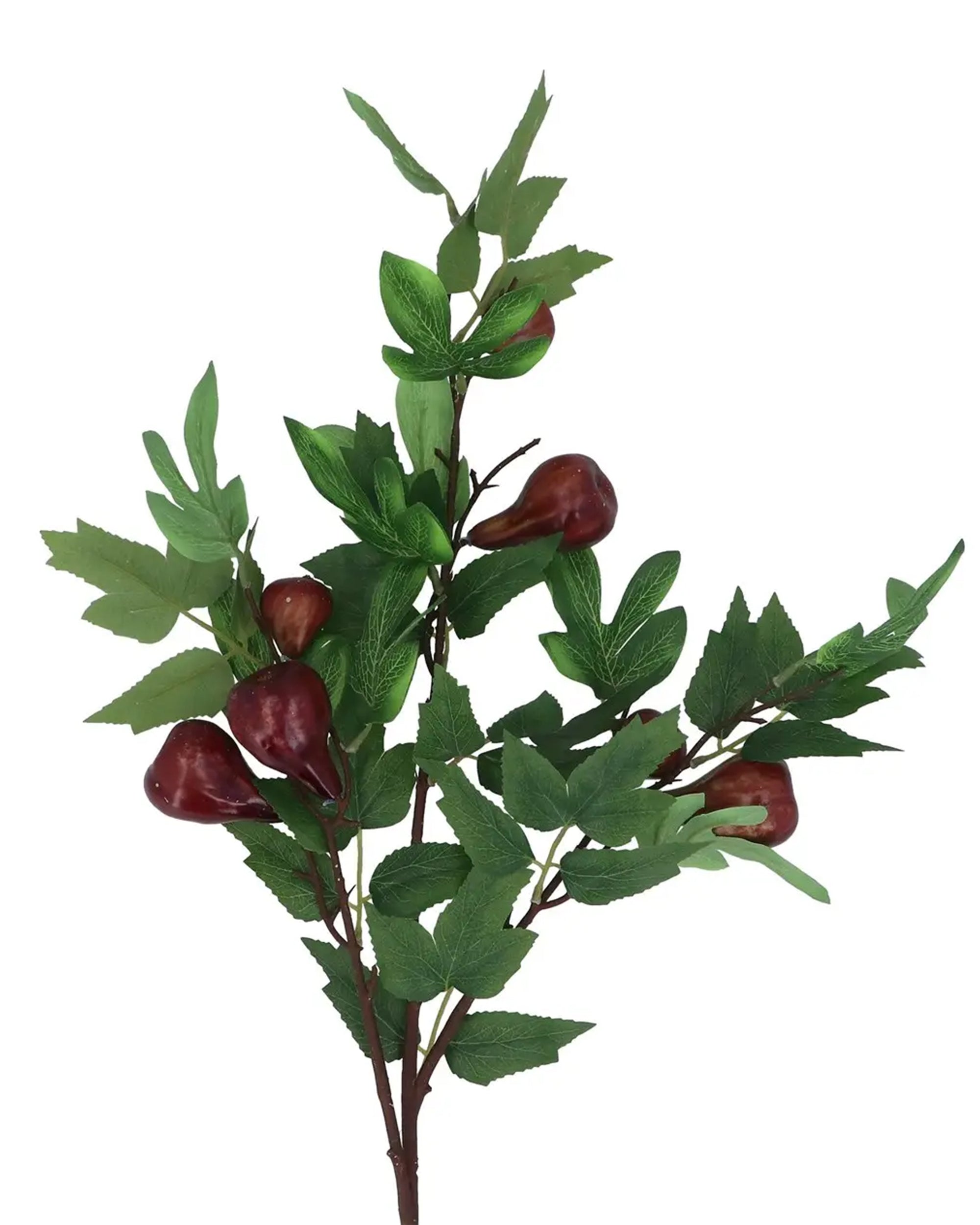 Fig branch with green leaves and red fruit by Faire, perfect accent for home decor, available at Bungalow Furniture.