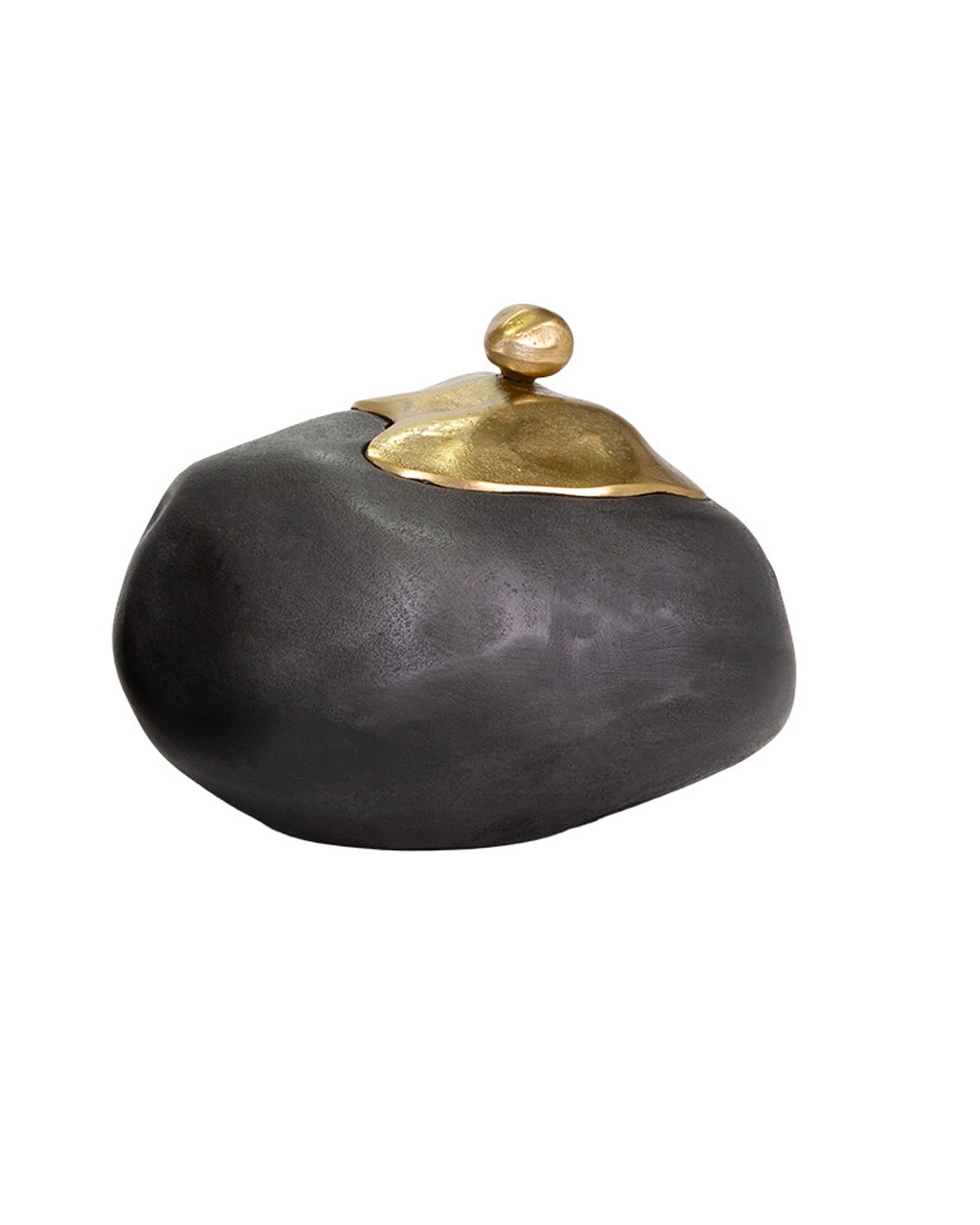The Import Collection's Finkle Box features a smooth, dark, irregularly-shaped base with a shiny gold organic lid and round knob, blending natural and metallic elements in a striking contemporary design.
