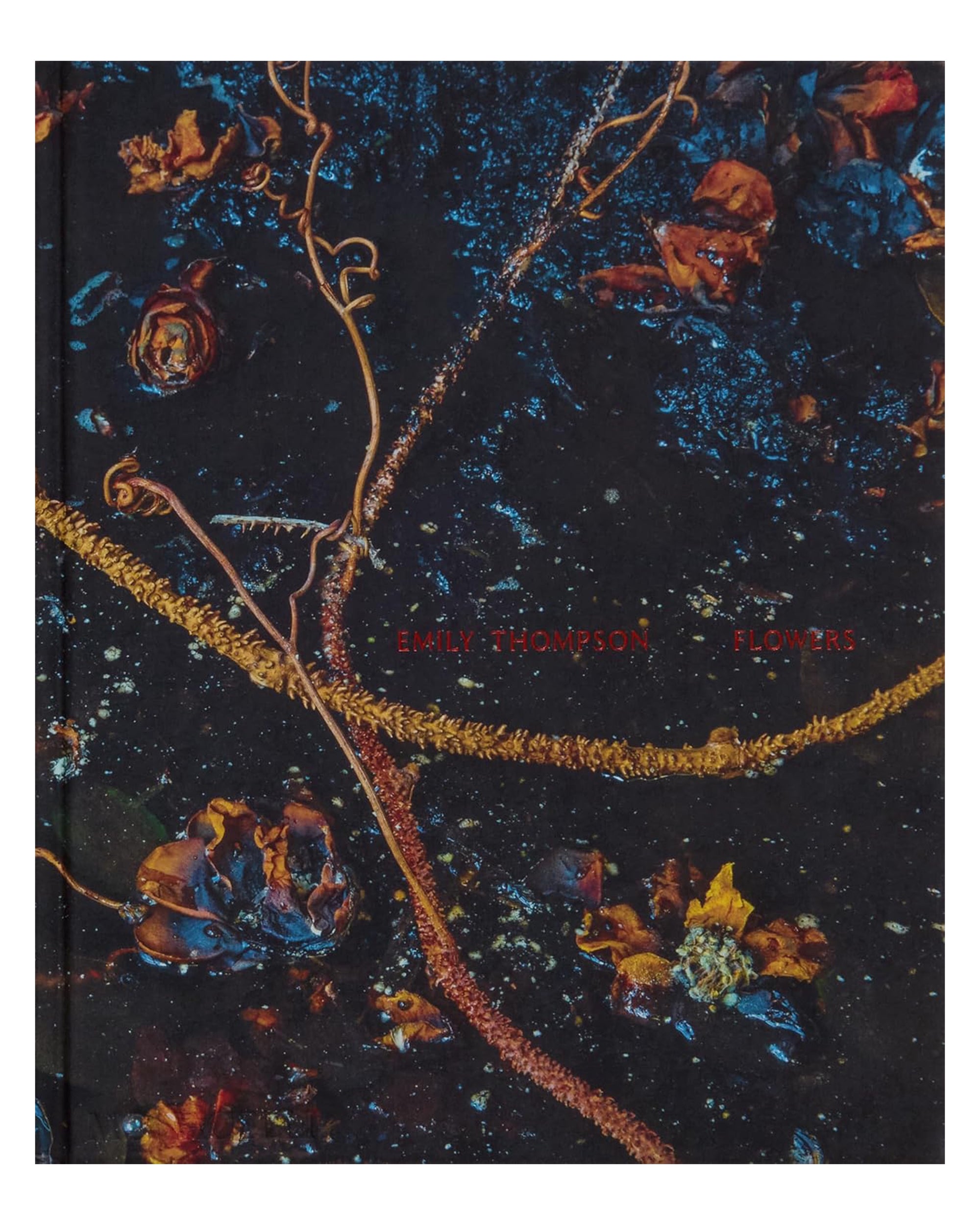 A book cover with dark, moody floral designs and branches on a black background. “Emily Thompson Flowers” by Hachette Book Group appears in small red text at the center.