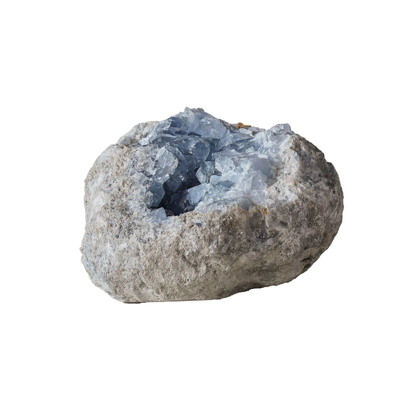The Celestite Geode by Blue Ocean Traders features a rough gray exterior with an open cavity full of light blue, translucent crystals—perfect as a unique shelf accent. Shown isolated on a white background.