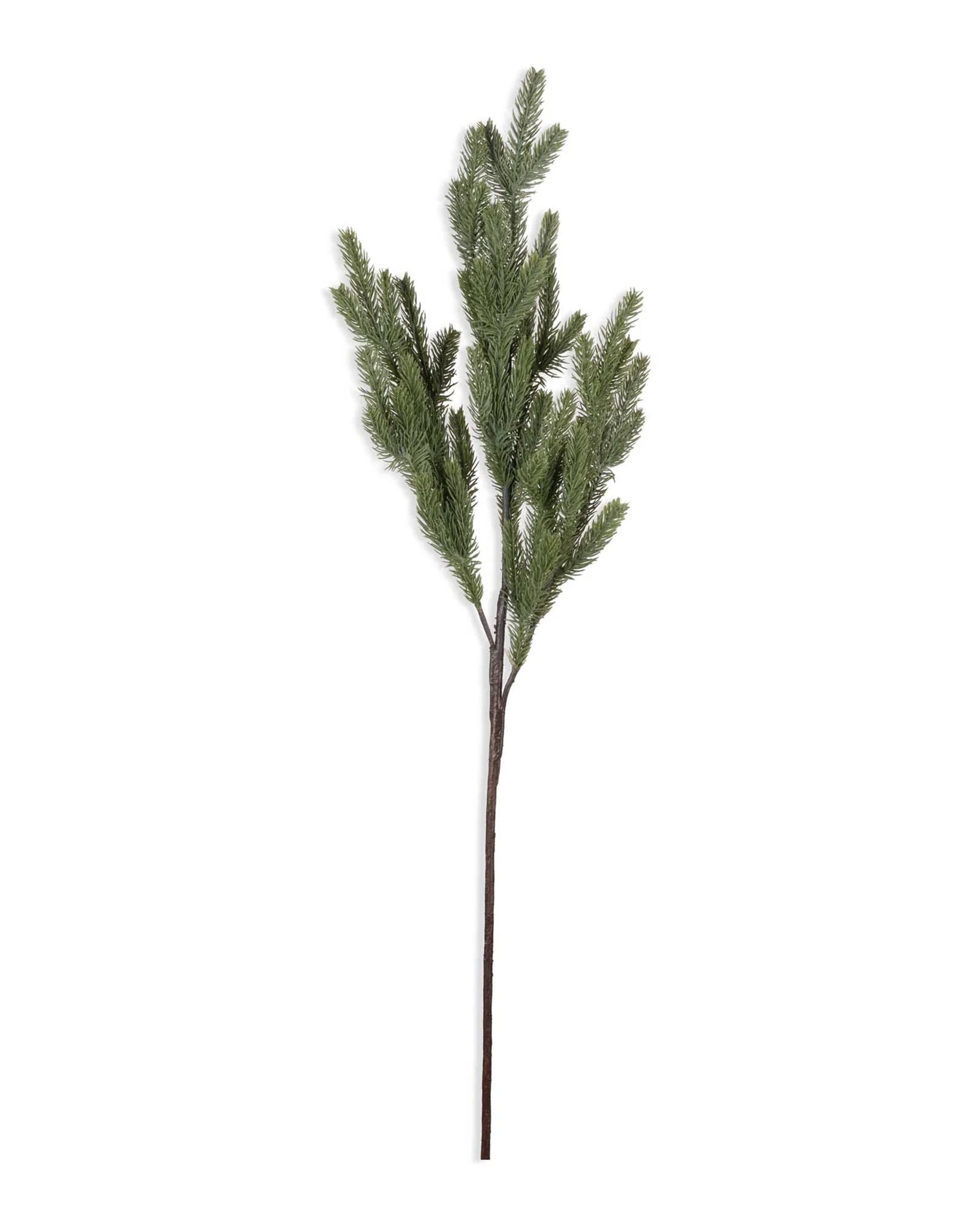 The Abigail Ahern Foxtail Pine features multiple green, needle-covered stems on a brown artificial branch, displayed against a white background.