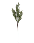The Abigail Ahern Foxtail Pine features multiple green, needle-covered stems on a brown artificial branch, displayed against a white background.