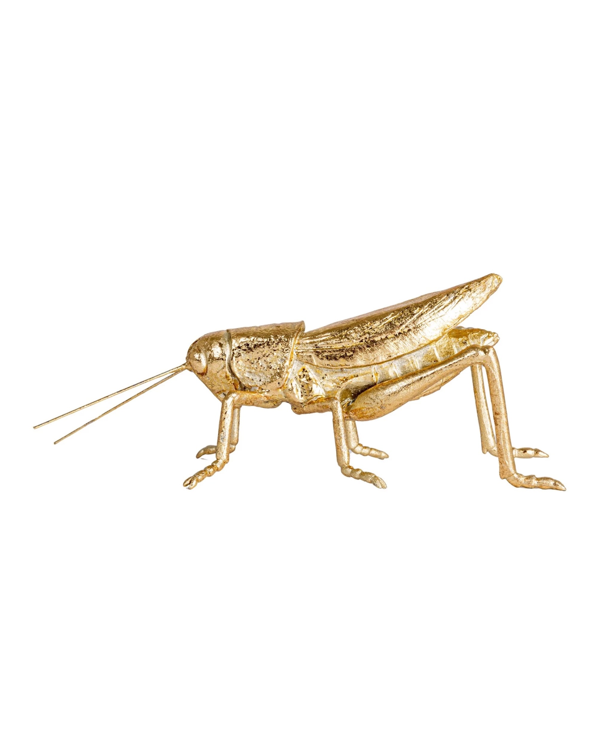The Creative Co-op DF9776 Grasshopper Gold is a detailed gold insect figurine with long antennae and legs, shown in profile against a white background—a unique home decor accent.