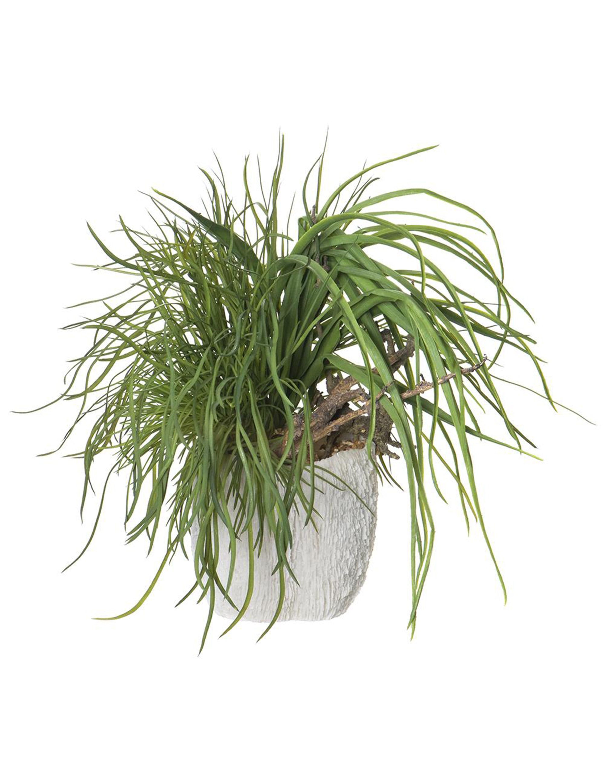 The AllState Floral And Craft MX Grass Driftwood in Coral features long, spiky leaves in a textured white pot, resembling artfully arranged mixed grass and making a vibrant houseplant accent for any space.