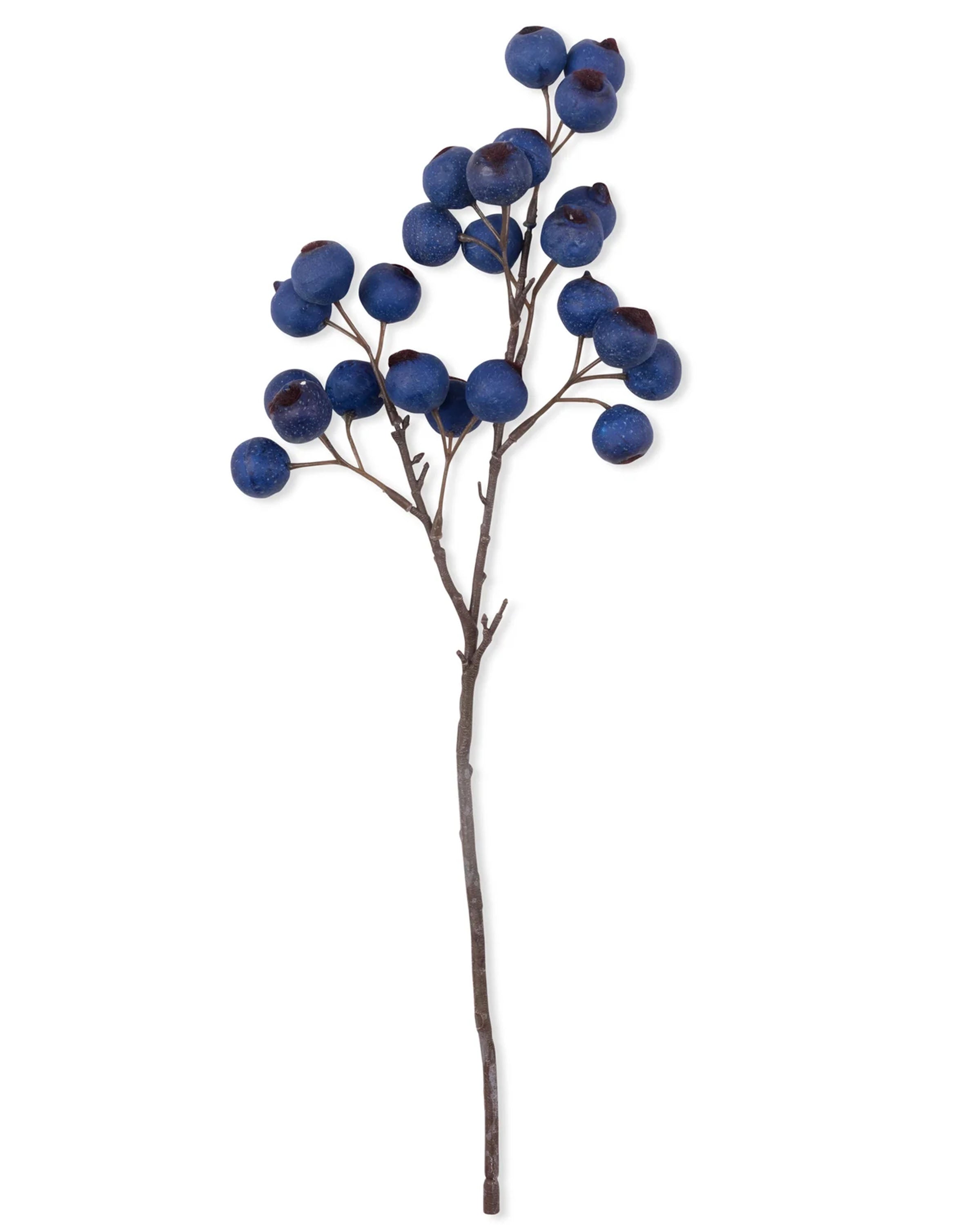 Hawthorn Berry Midnight