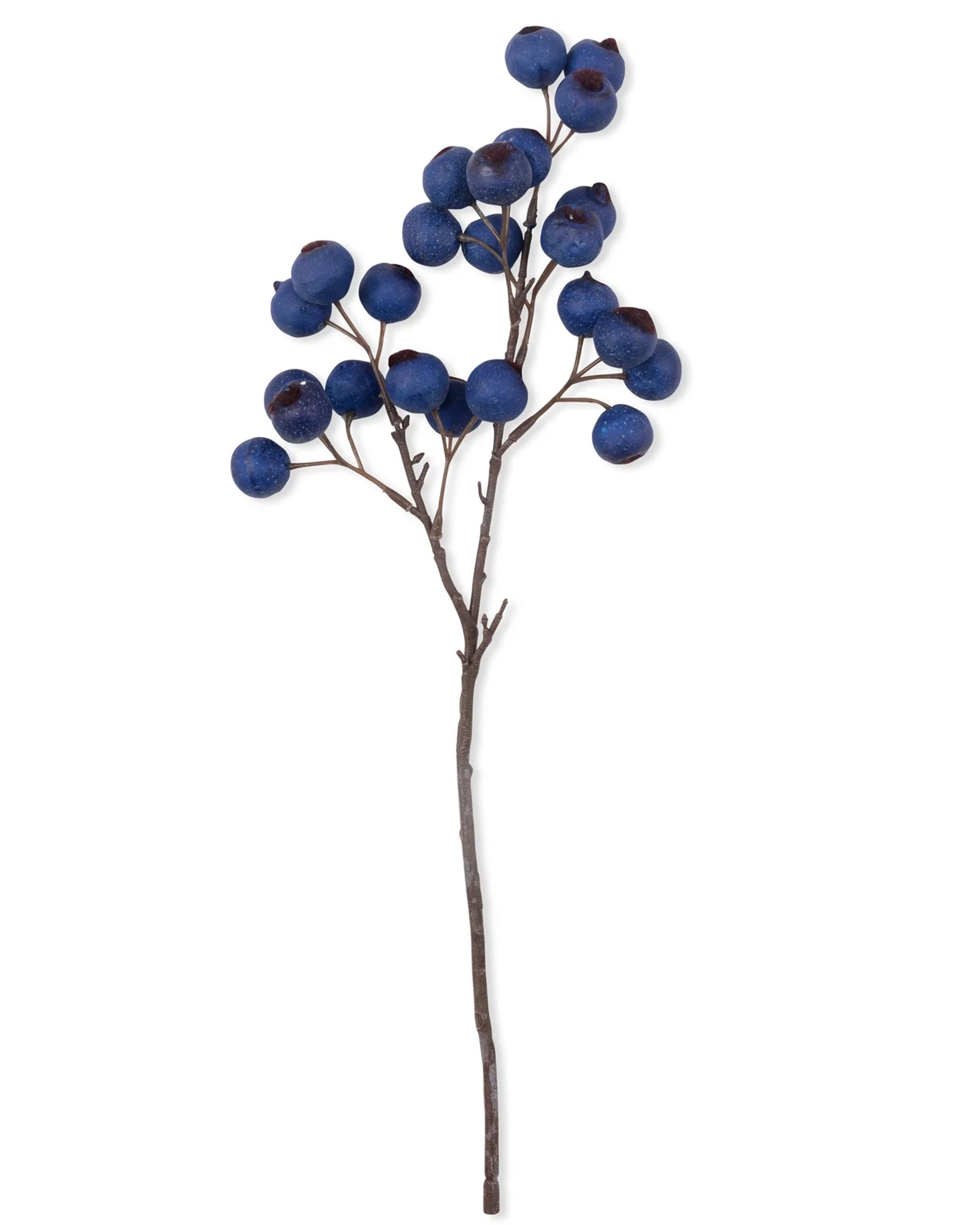 The Hawthorn Berry Midnight by Abigail Ahern features a single brown stem with branching clusters of dark blue artificial berries—ideal for botanical decor and displayed against a crisp white background.